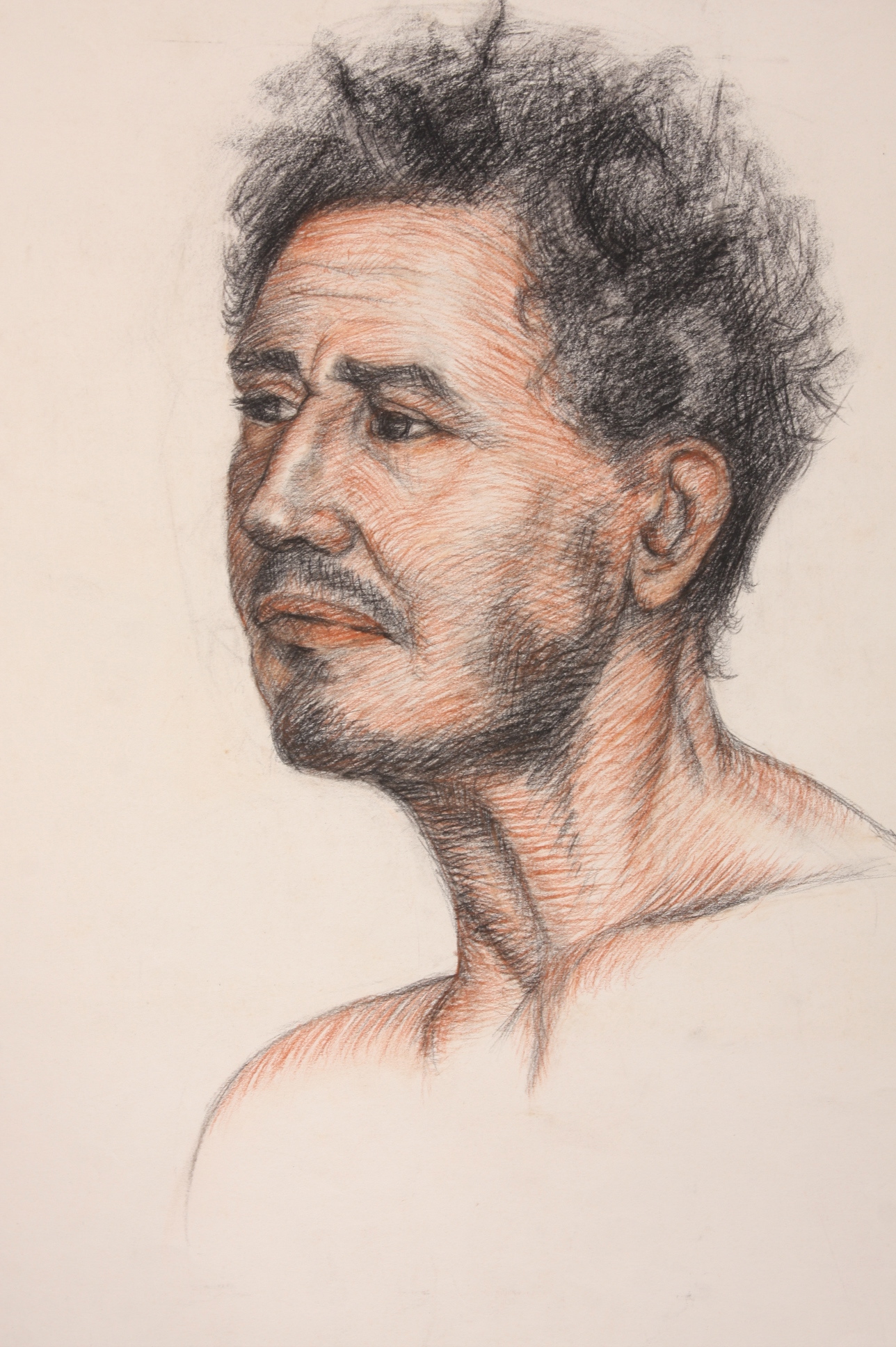 Original Evelyn Levy Shaw Drawings 