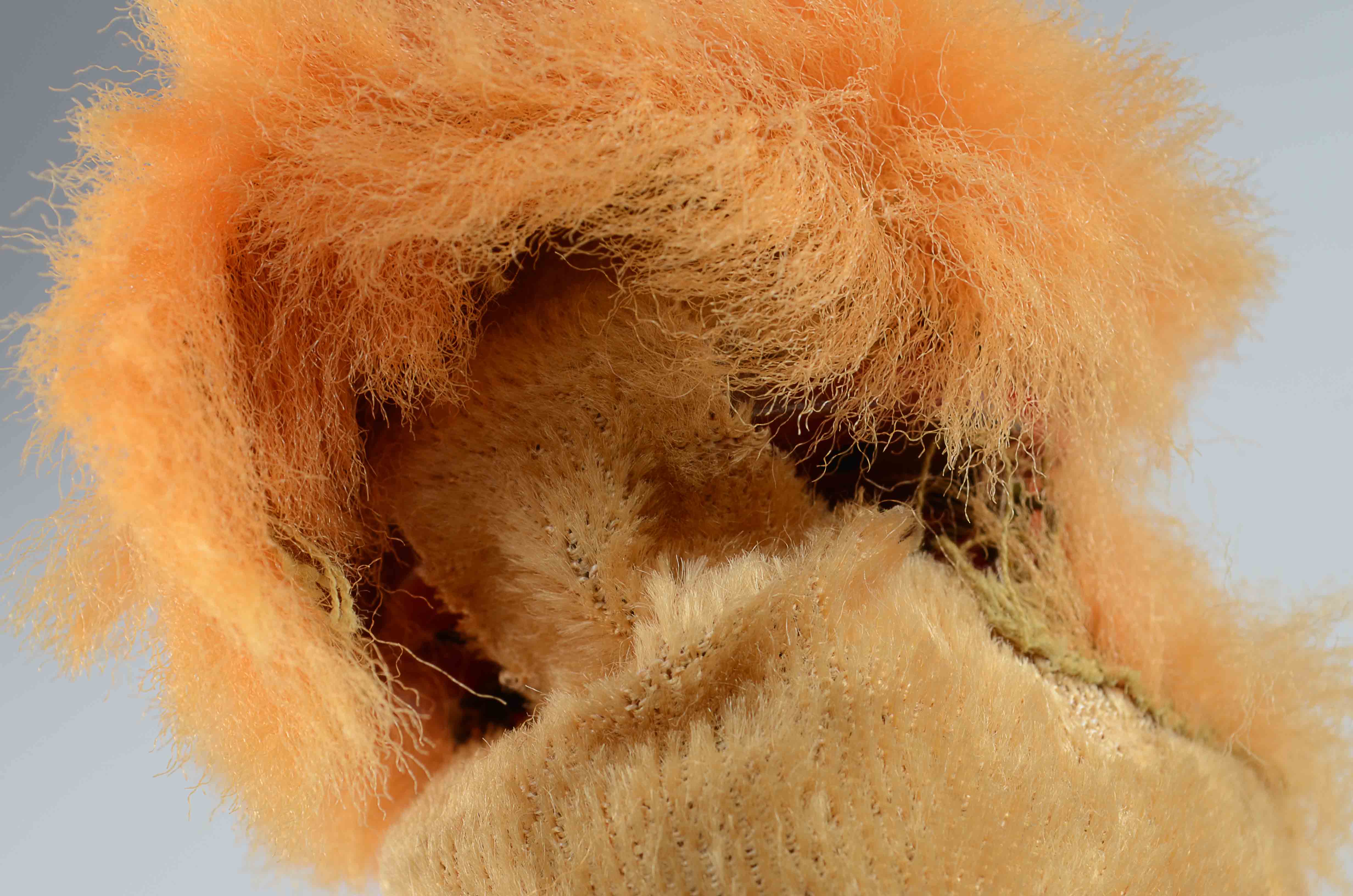 Mechnical Toy Lion, Circa 1950's