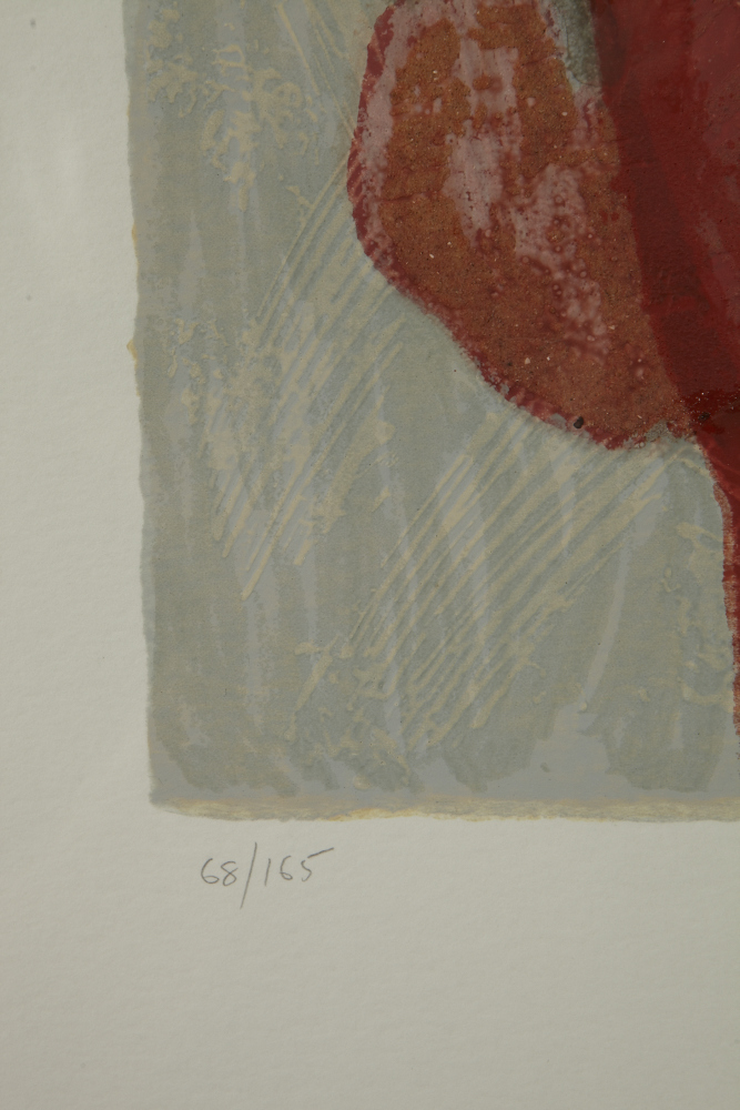 Zhou Brothers Terragraph "The Red Shadow"