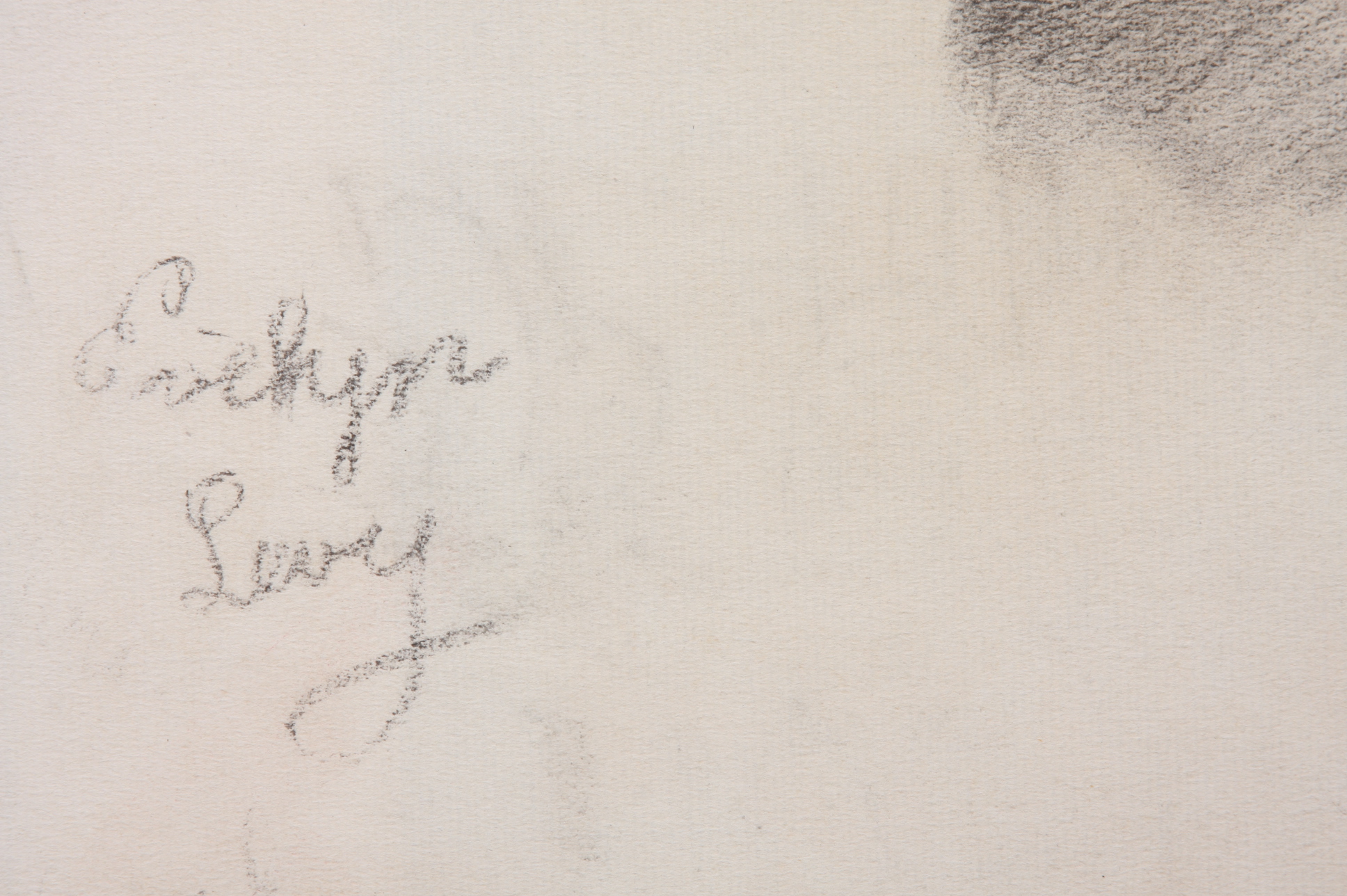 Original Evelyn Levy Shaw Drawings 