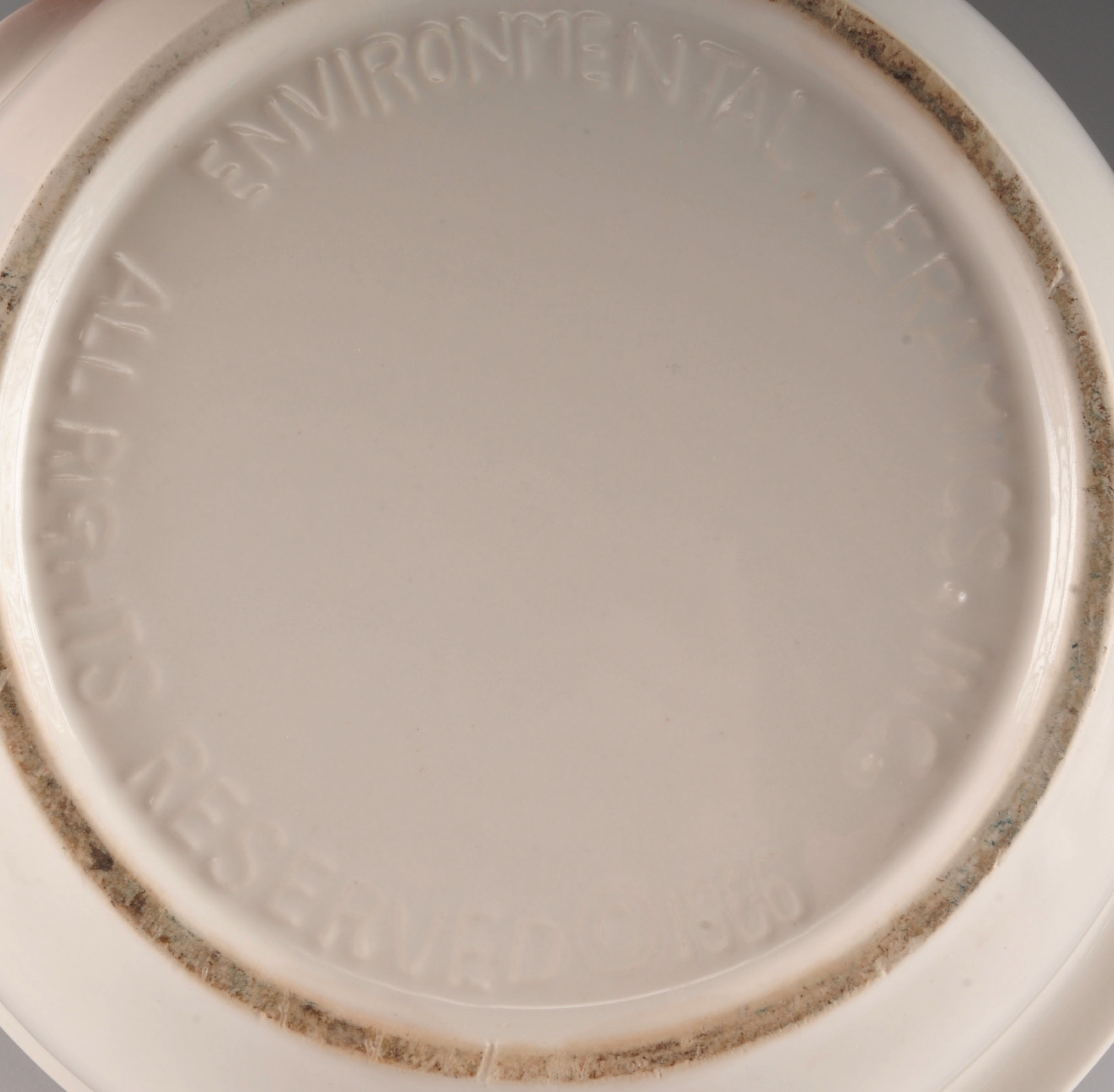 Covered Quail Ceramic Egg Container