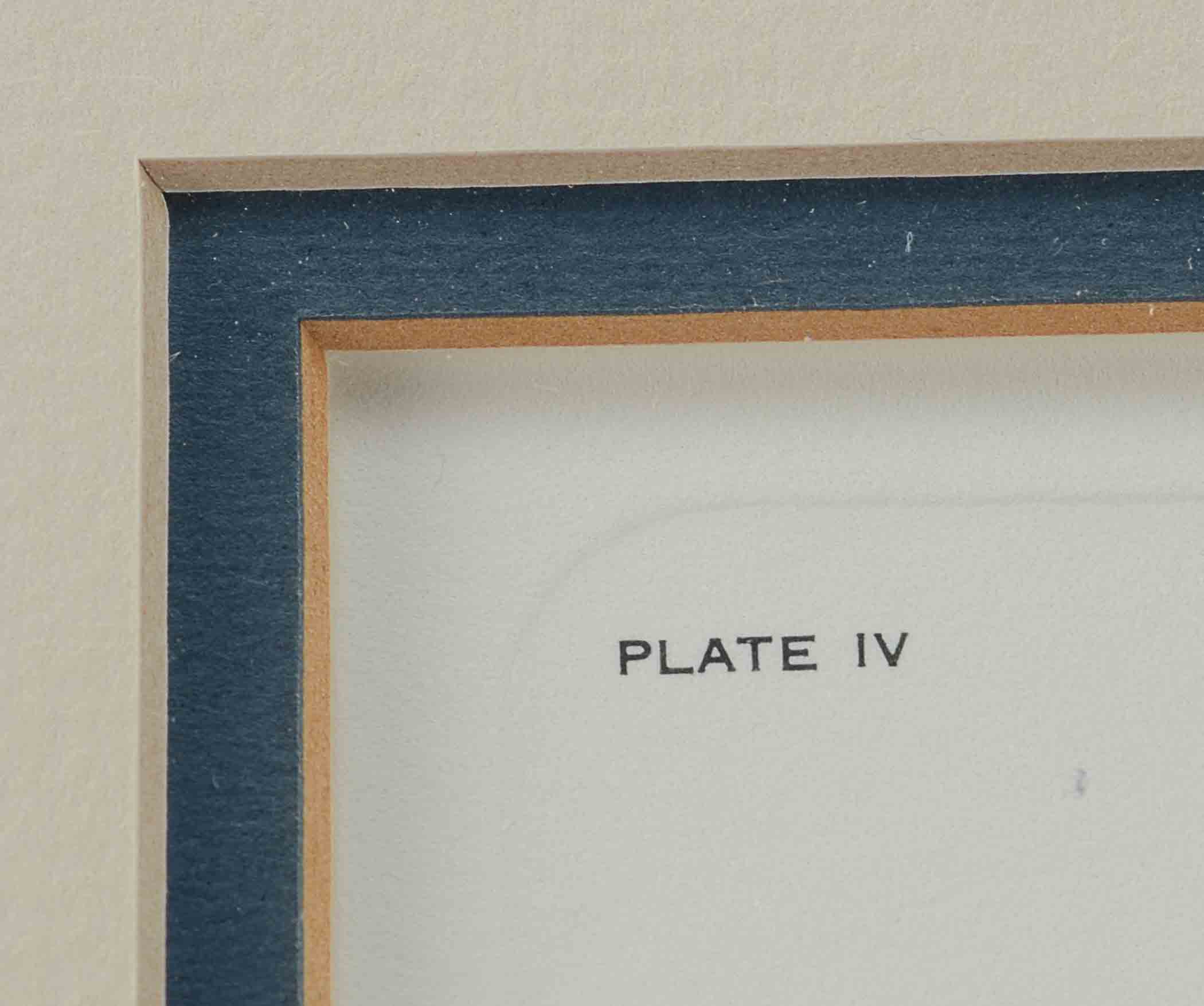 RARE John Ruthven Artist's Proof