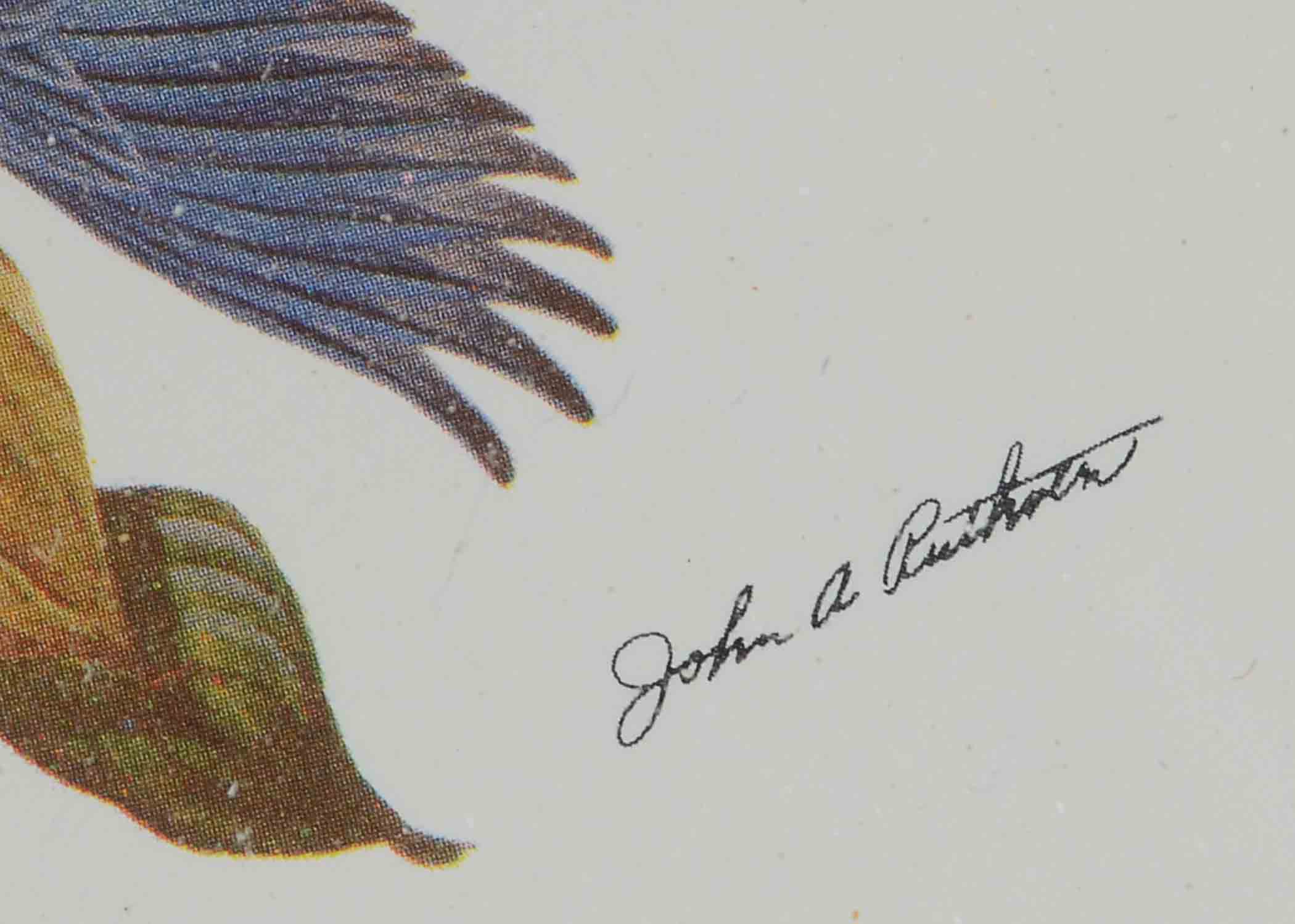 RARE John Ruthven Artist's Proof