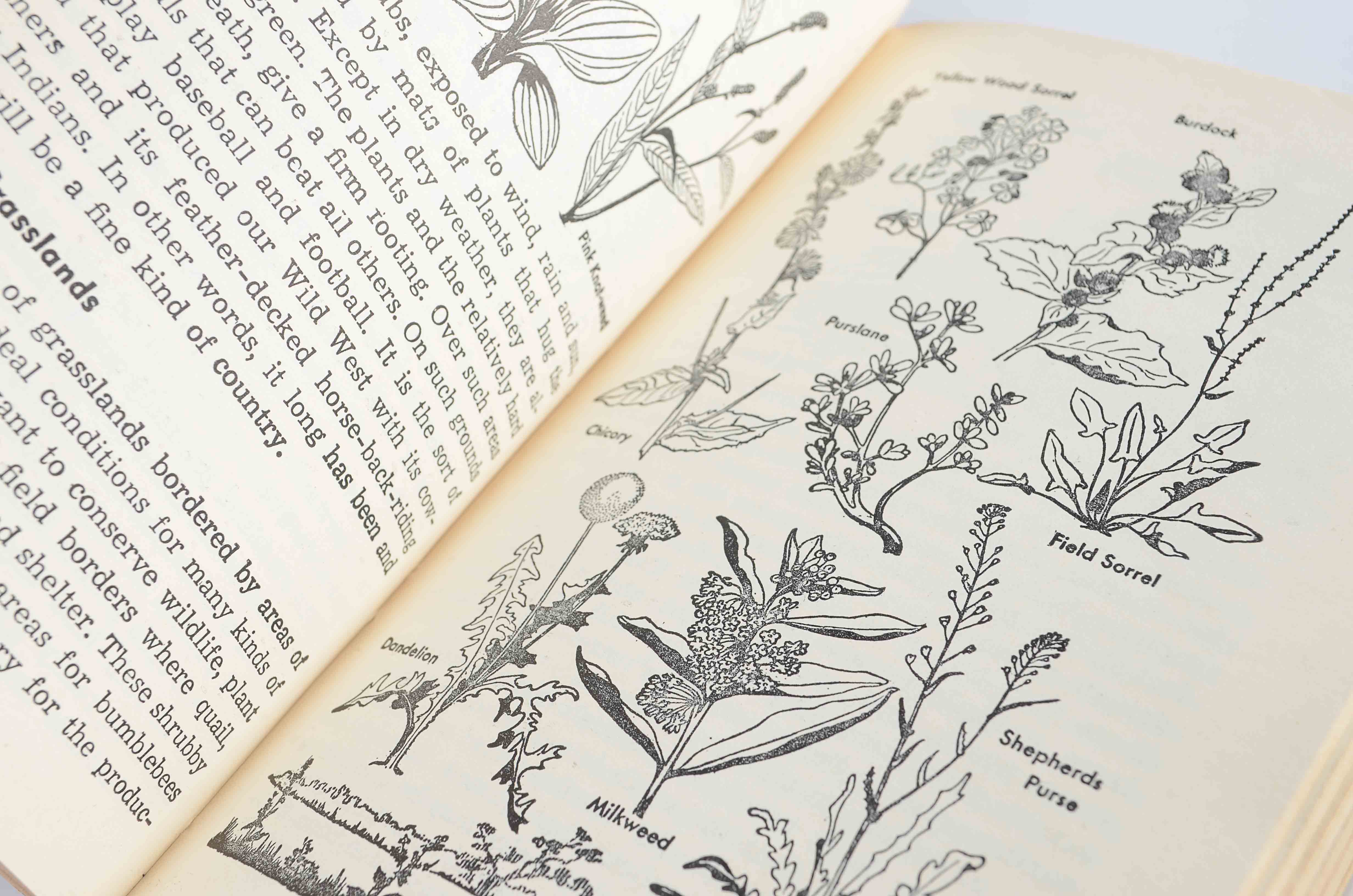 1956 Handbook for Boys 