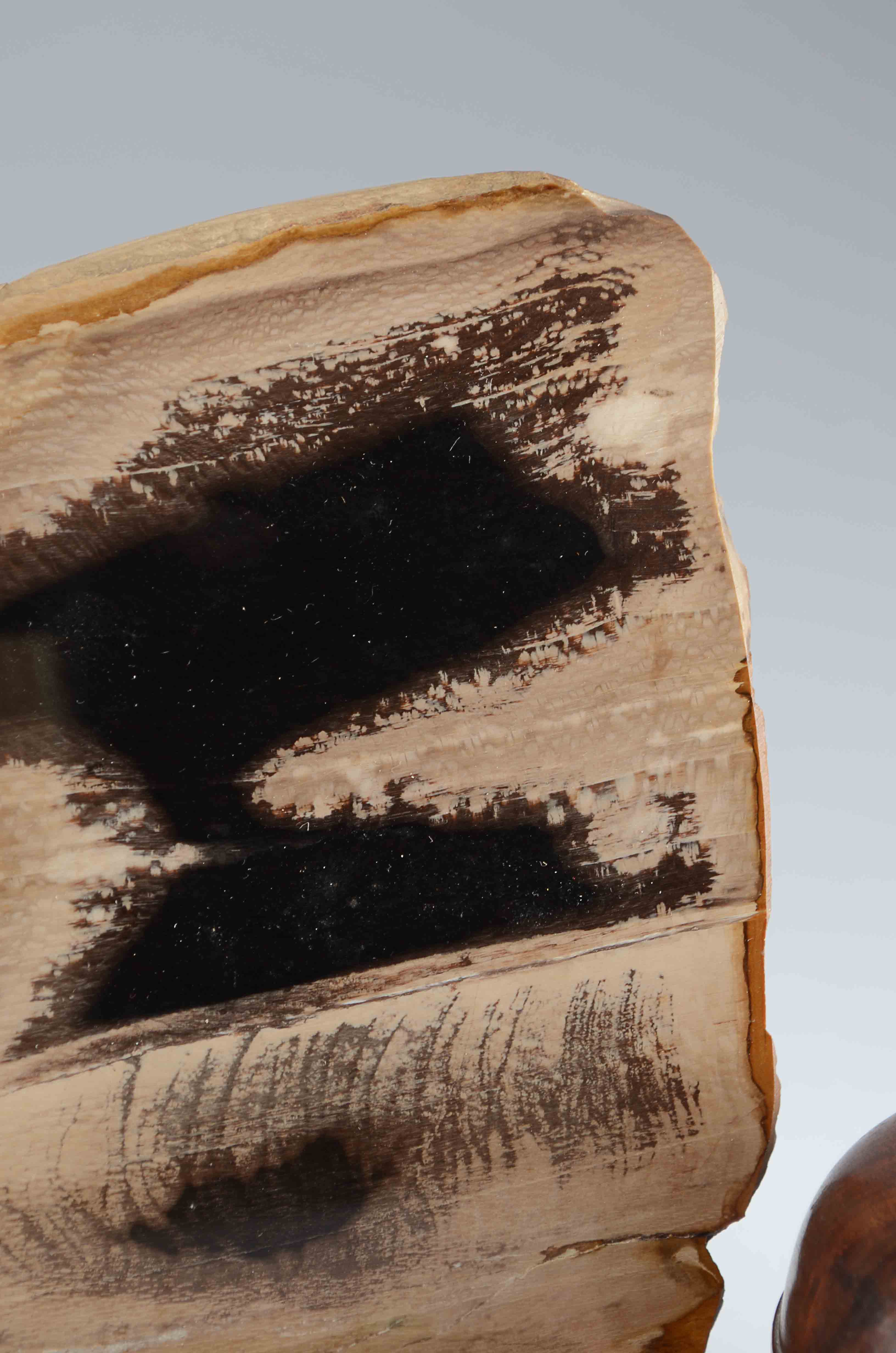 Decorative Mineral Collection w/ Rosewood Trinket