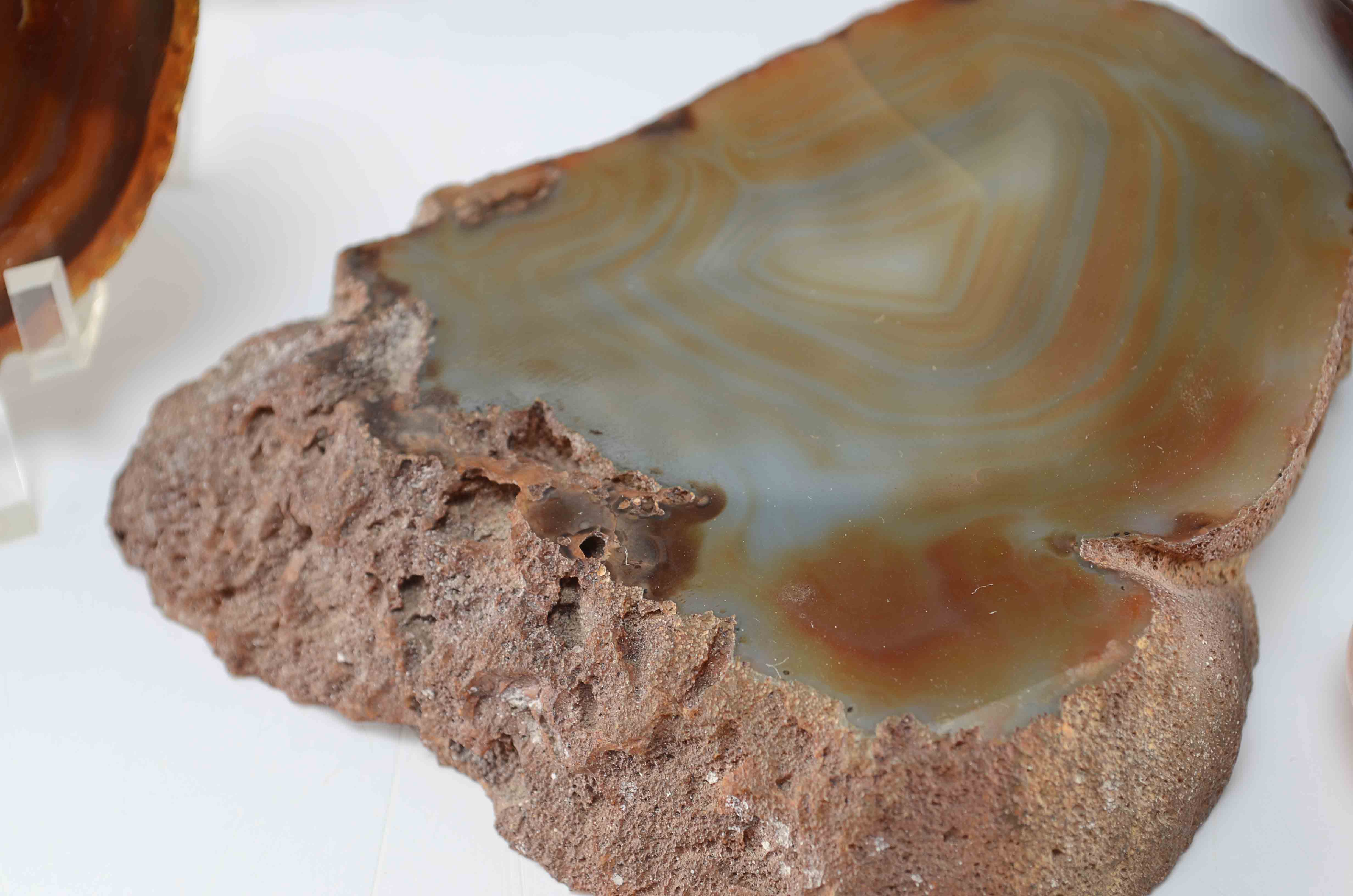 Decorative Mineral Collection w/ Rosewood Trinket