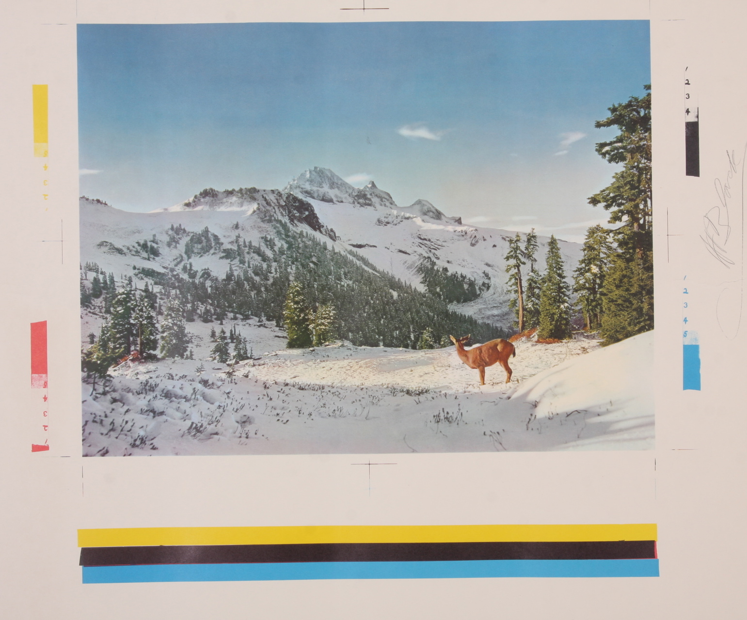 Grouping of Three Posters