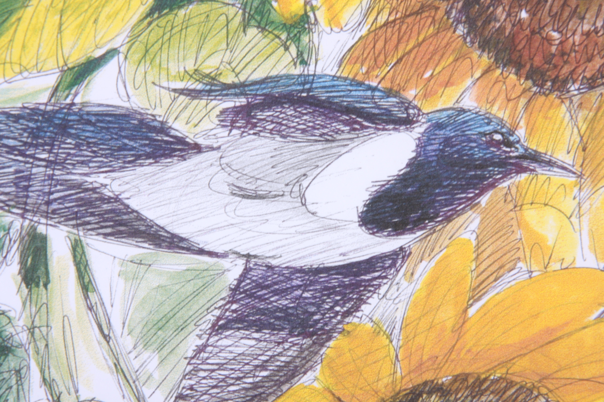 Pair of Framed Prints