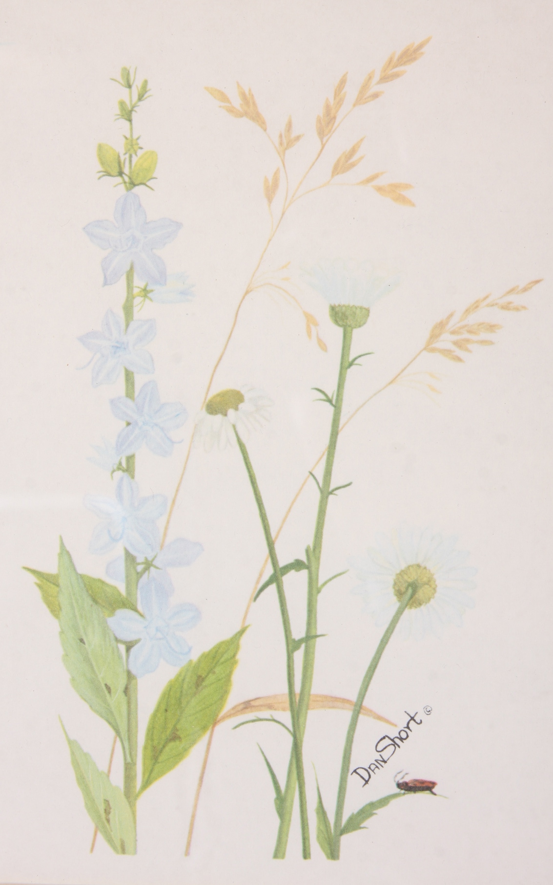 Pair of Framed Prints