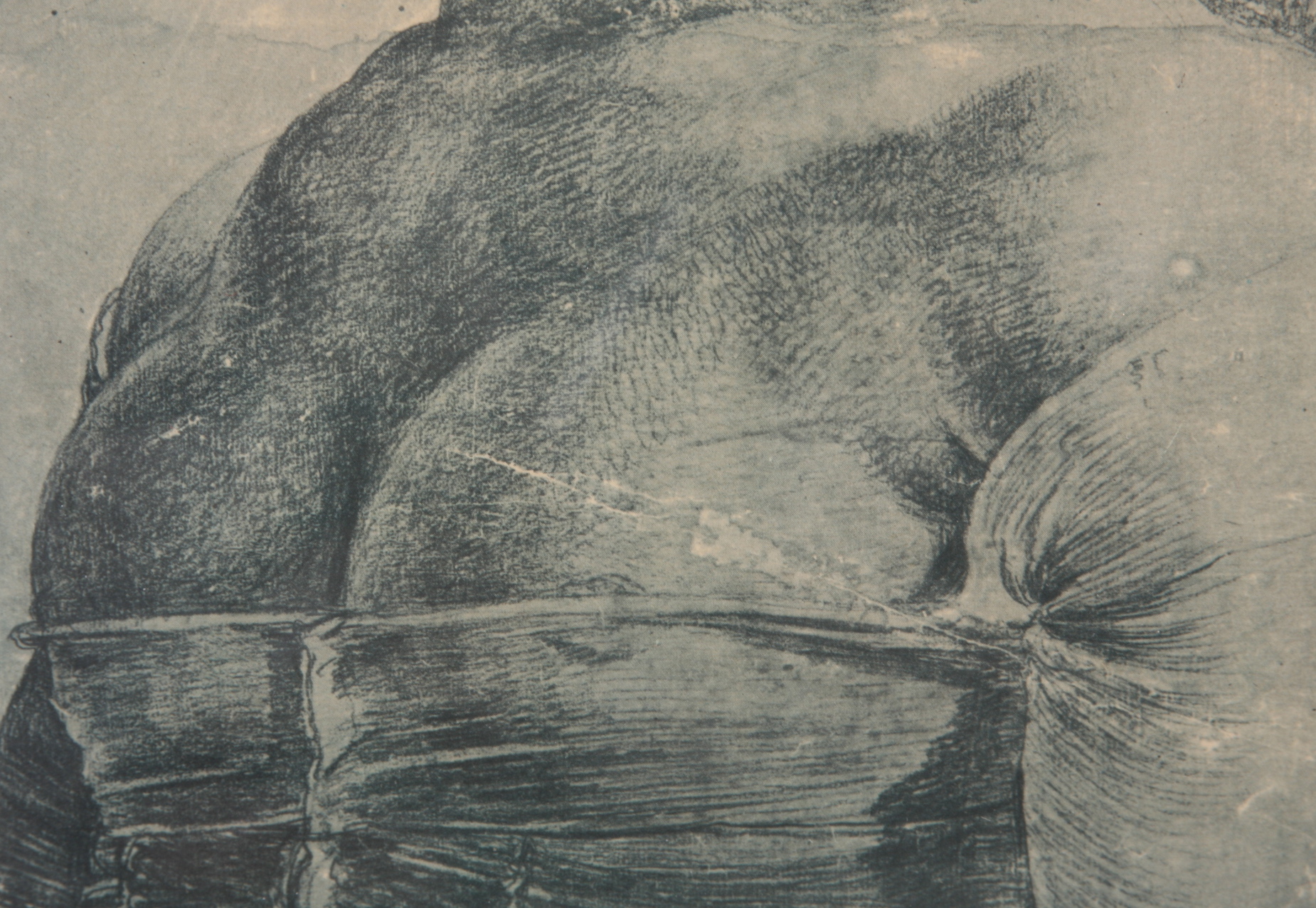 Photo Offset Litho Reproduction Of Albrecht Durer Engraving