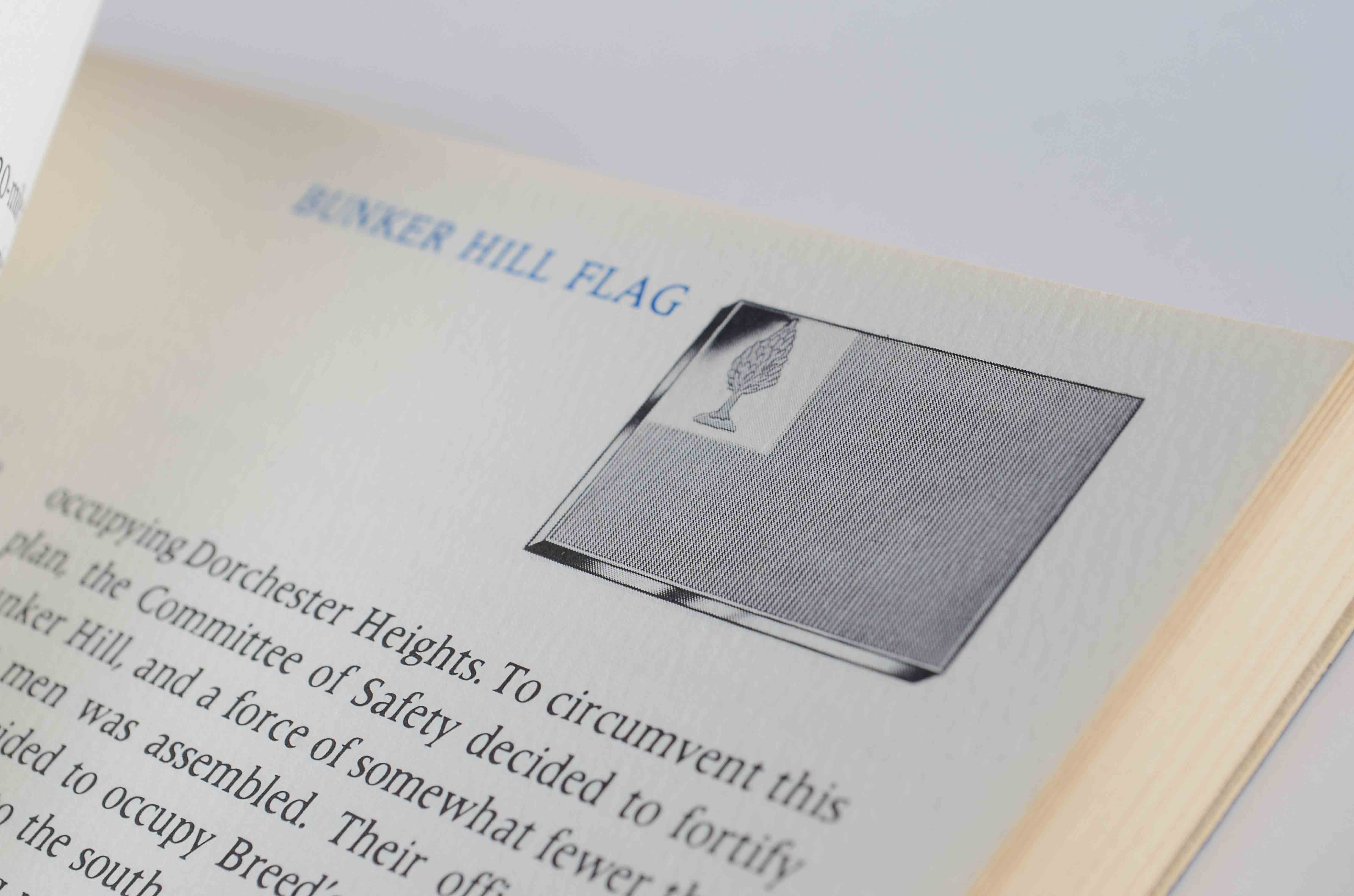 Sterling Silver Revolutionary Flag Replica Display