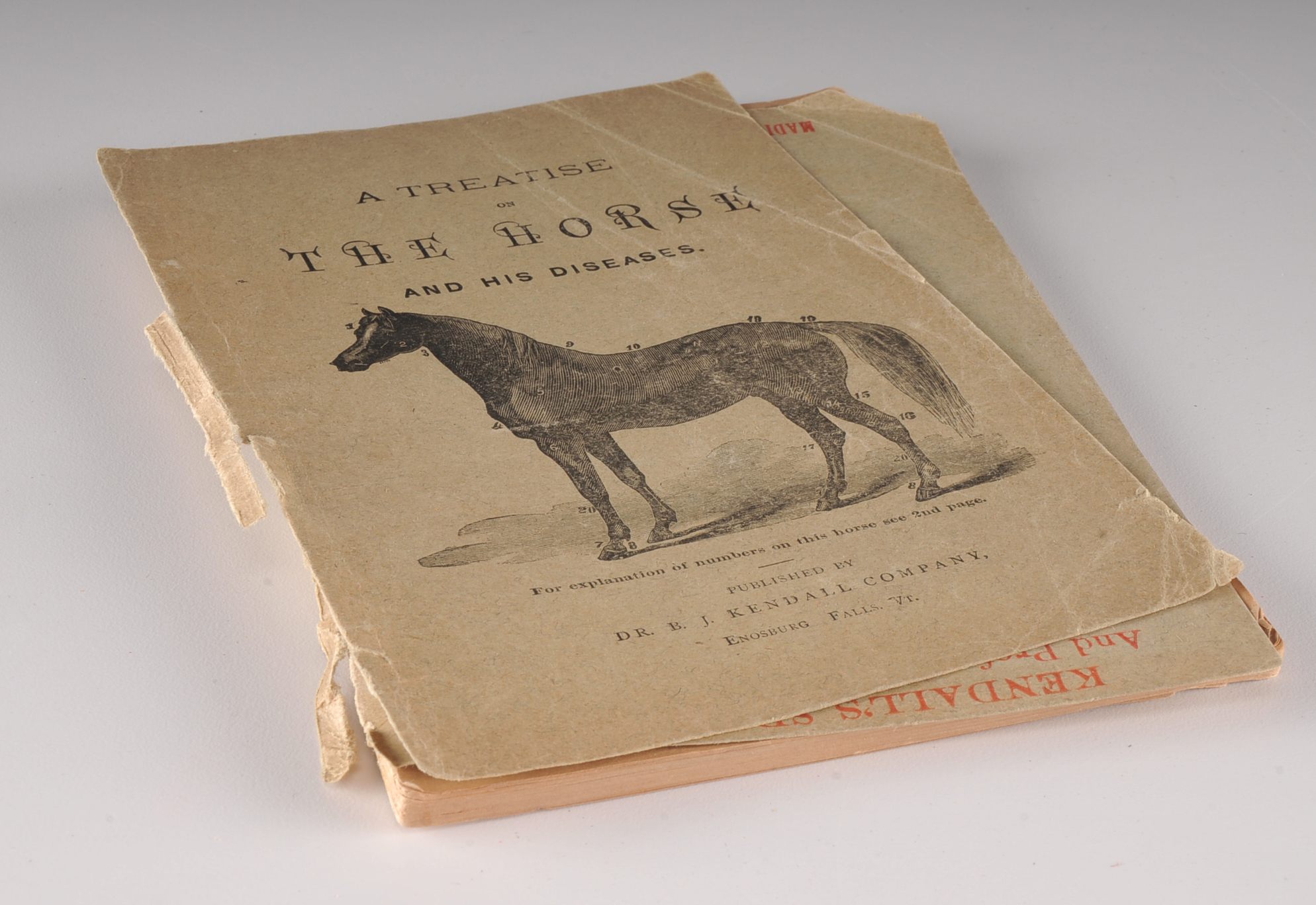 Large lot of Vintage Books