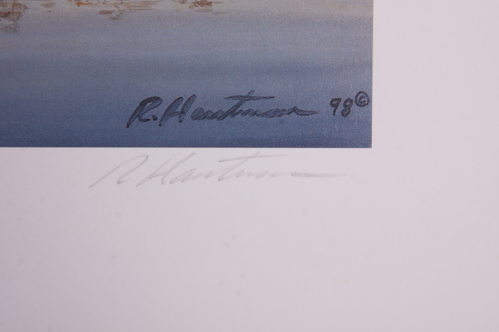 Portfolio of Wildlife Prints