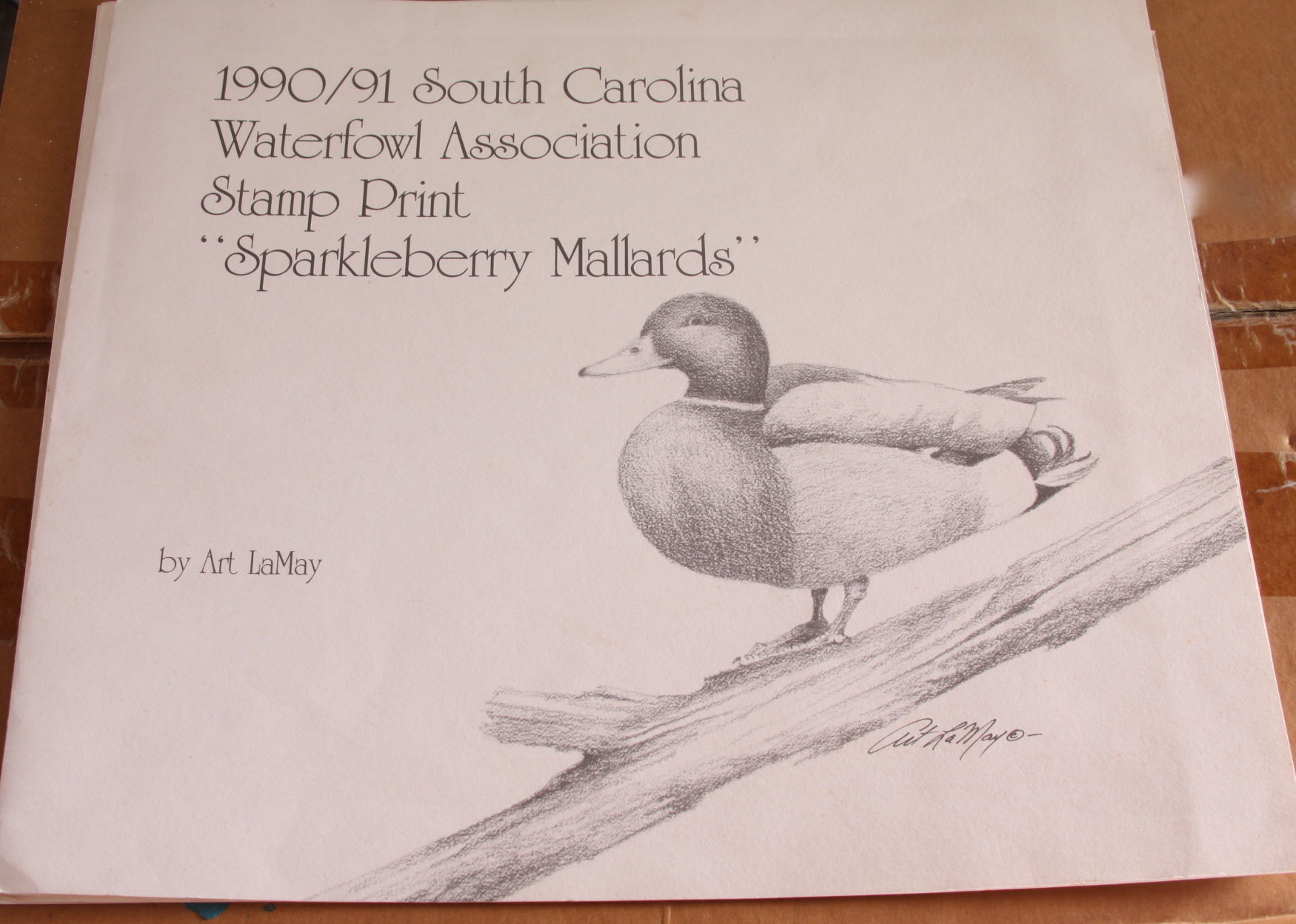 Portfolio of Wildlife Prints