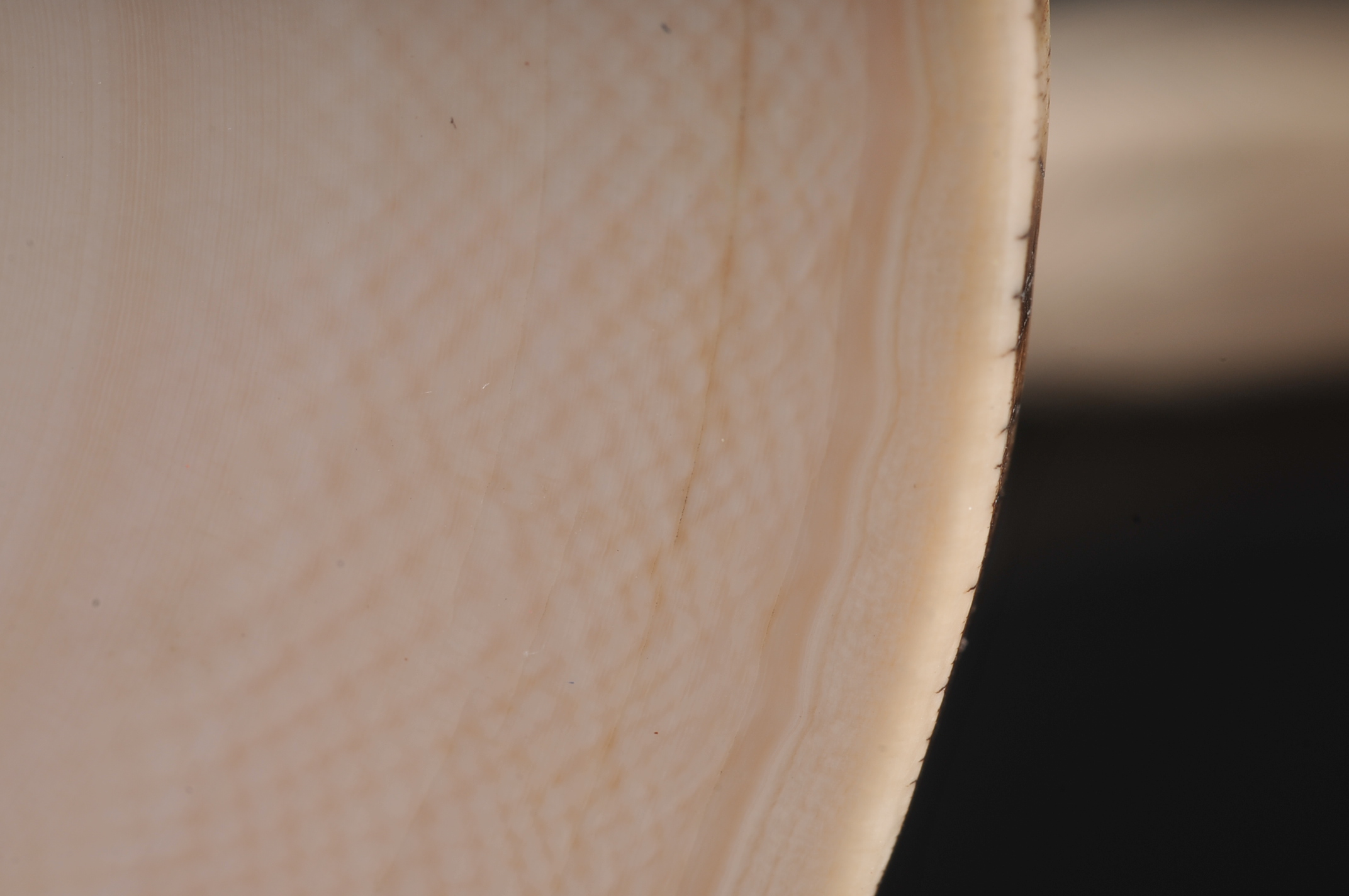 Vintage Ivory Pendant