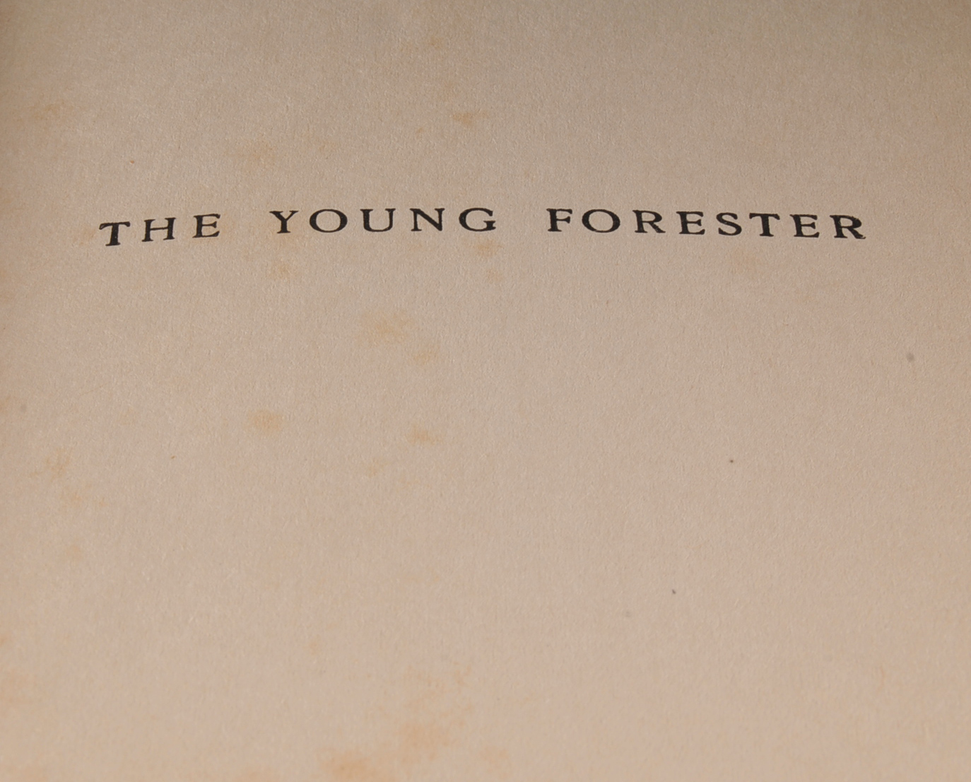 Assorted Vintage Books, Inc. 1st Edition