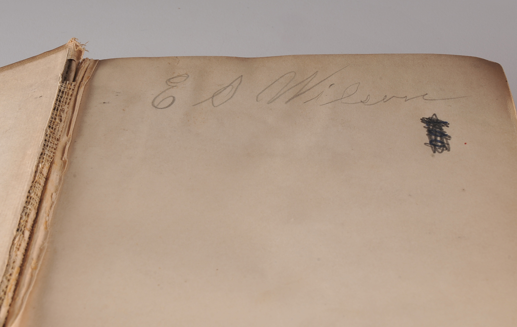 Assorted Vintage Books, Inc. 1st Edition