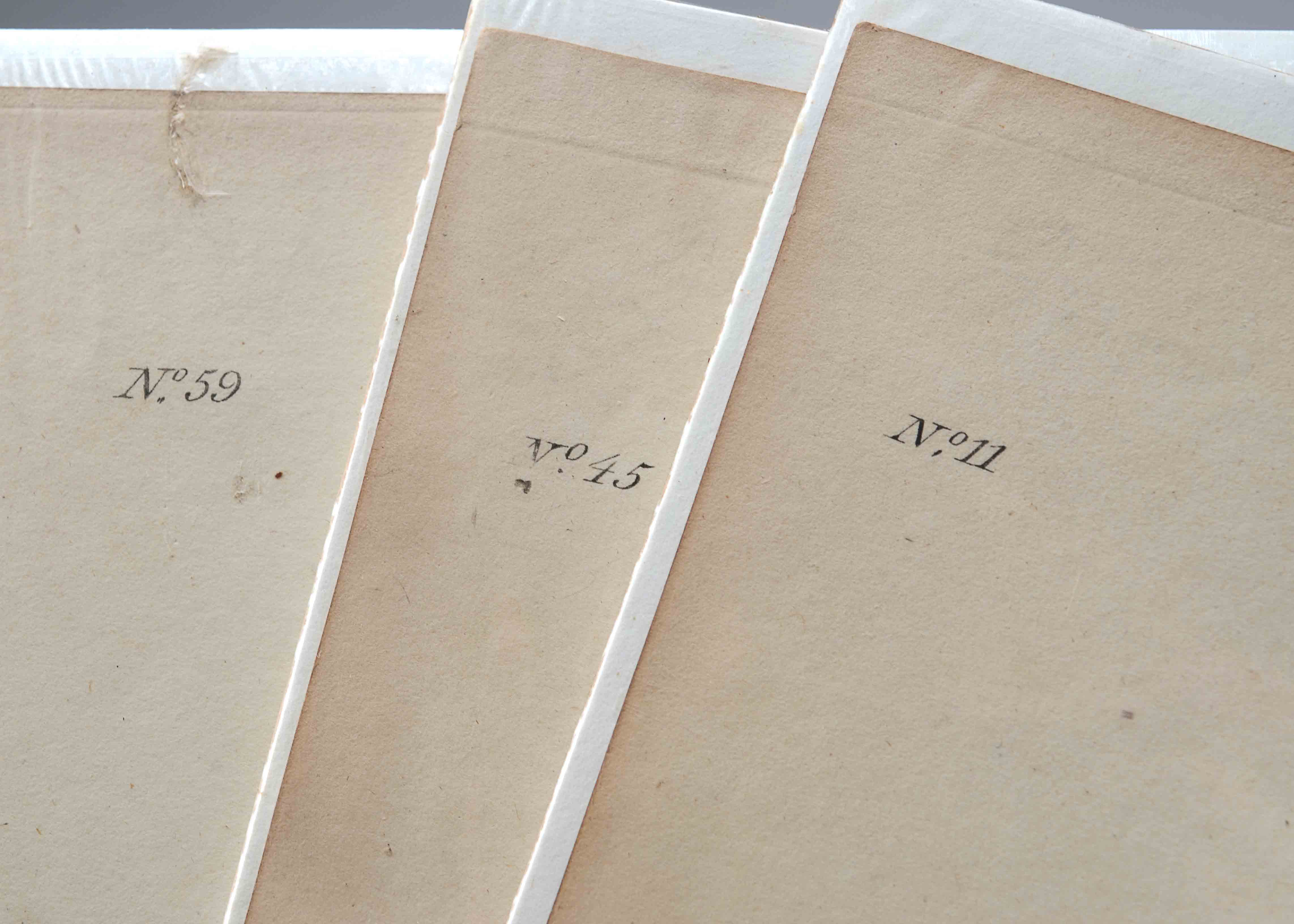 Triplet of Anthropological Prints