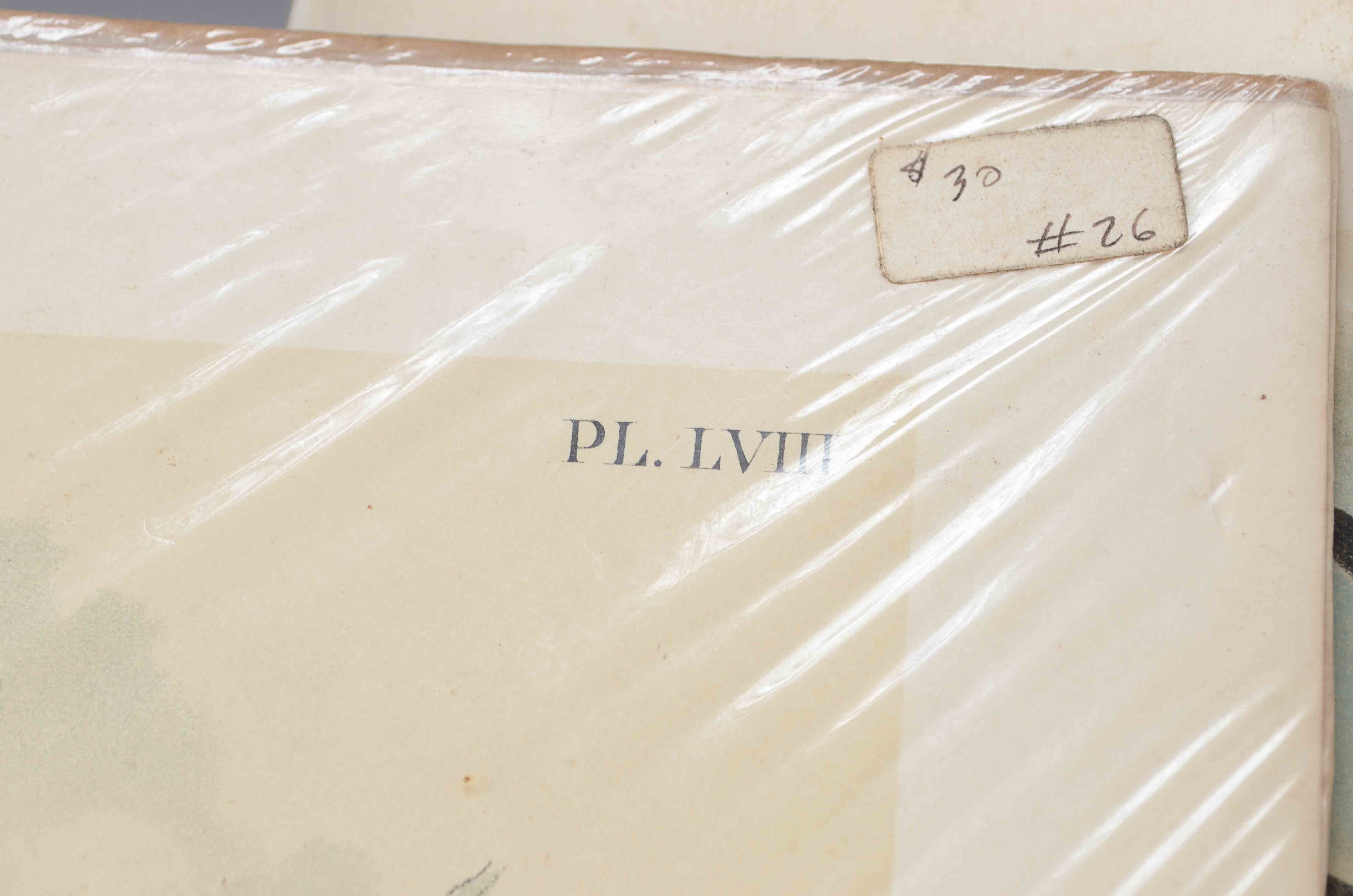 Lot of Three Ornithological Prints