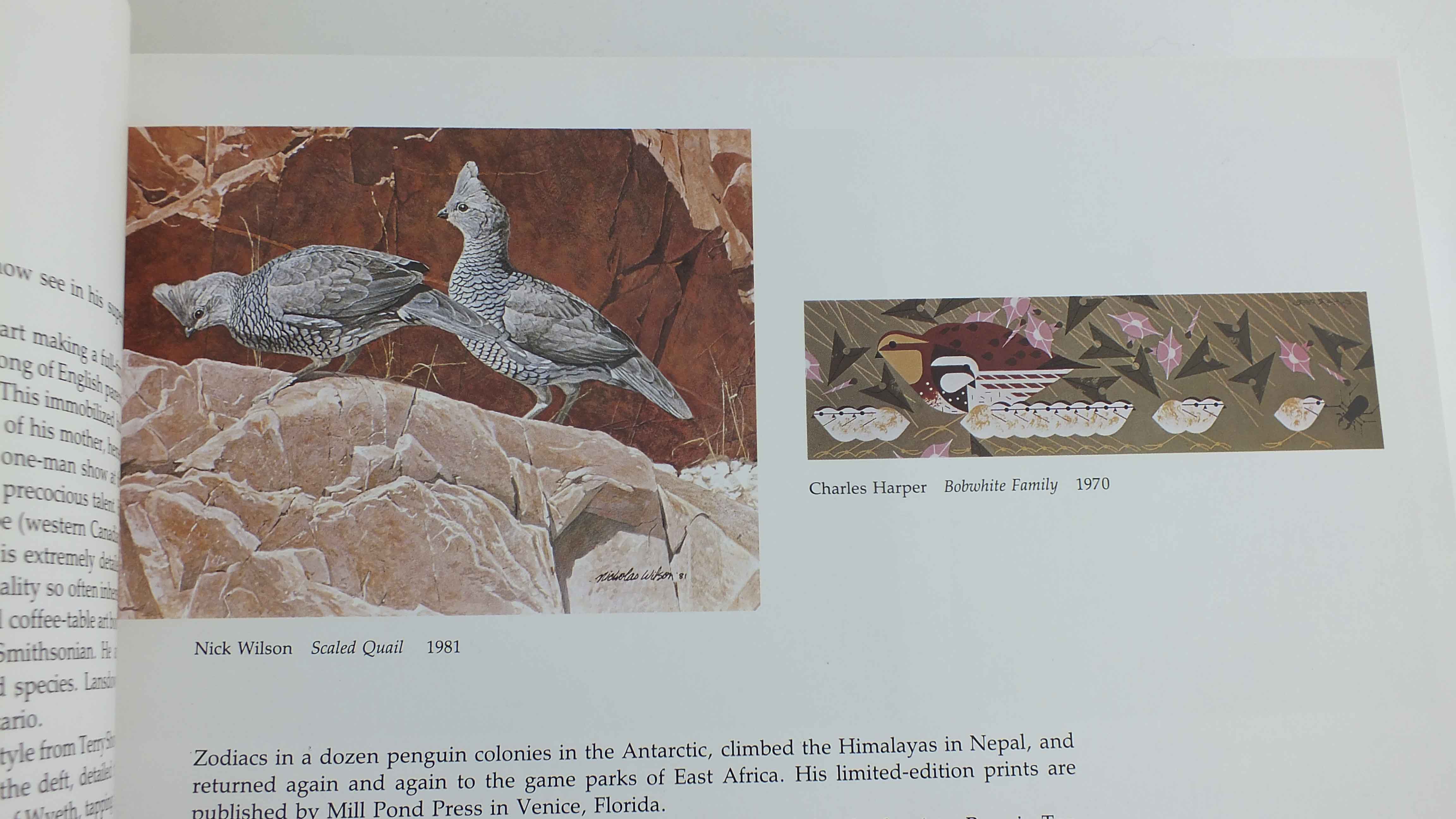 "Audubon's Bird's Of America"