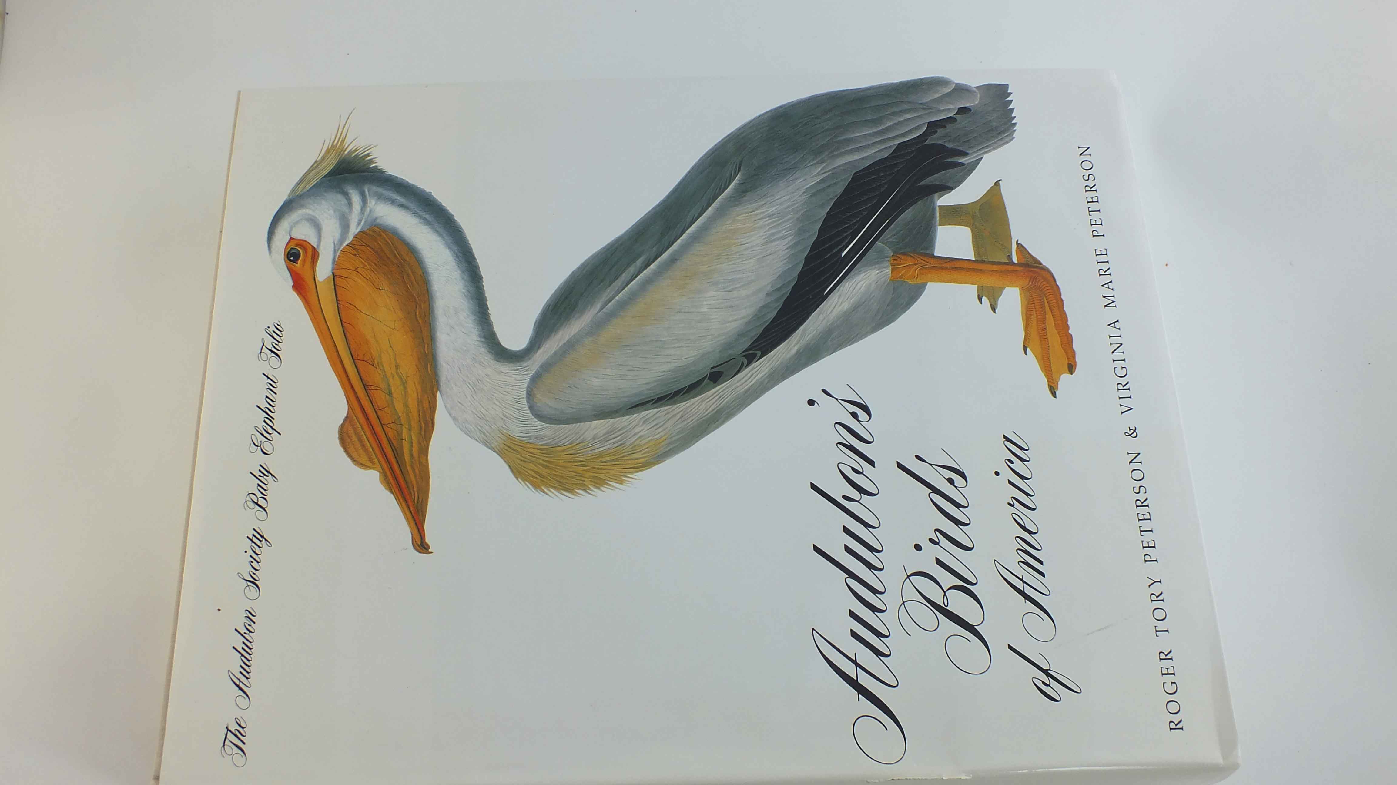"Audubon's Bird's Of America"