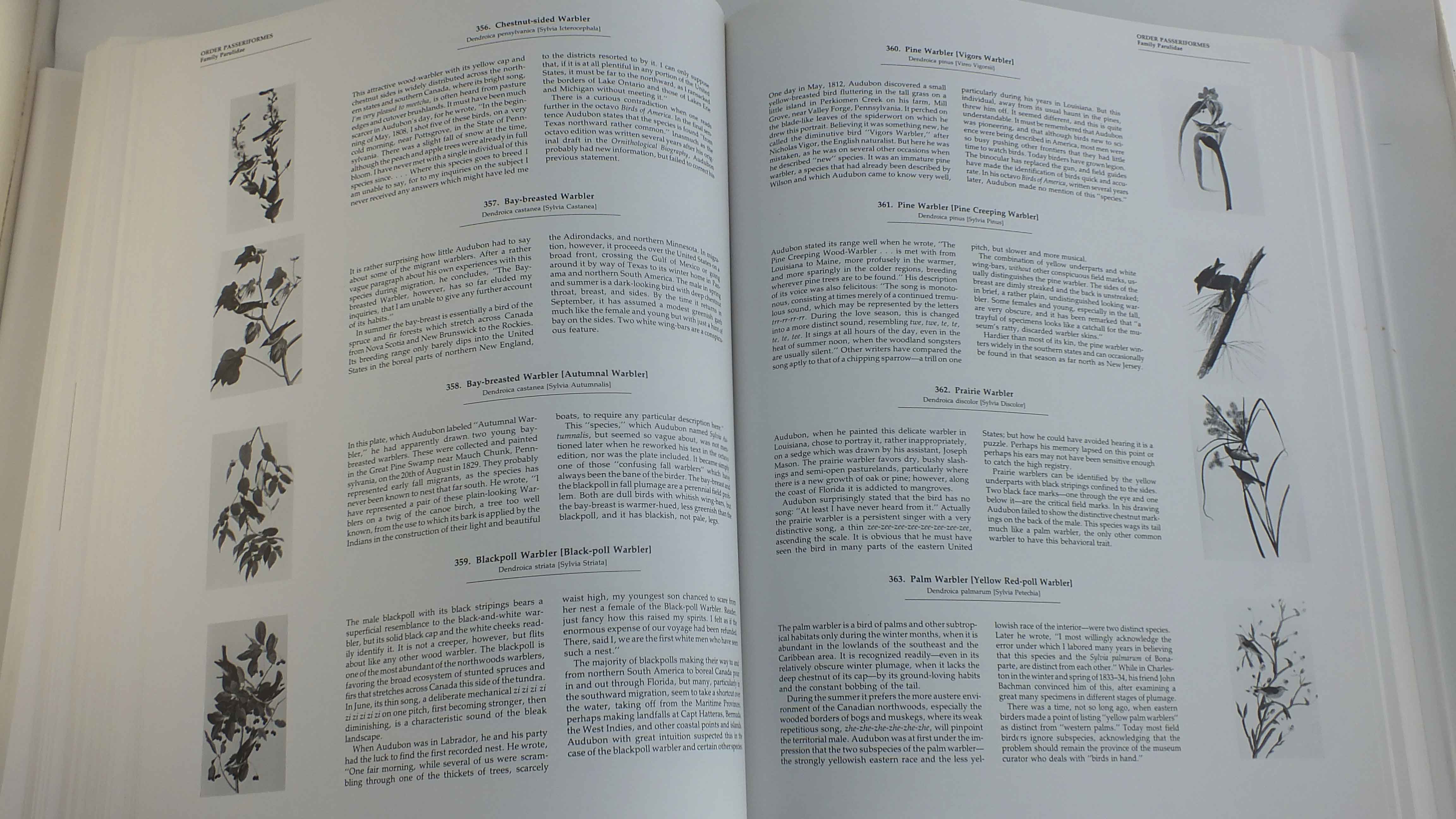 "Audubon's Bird's Of America"