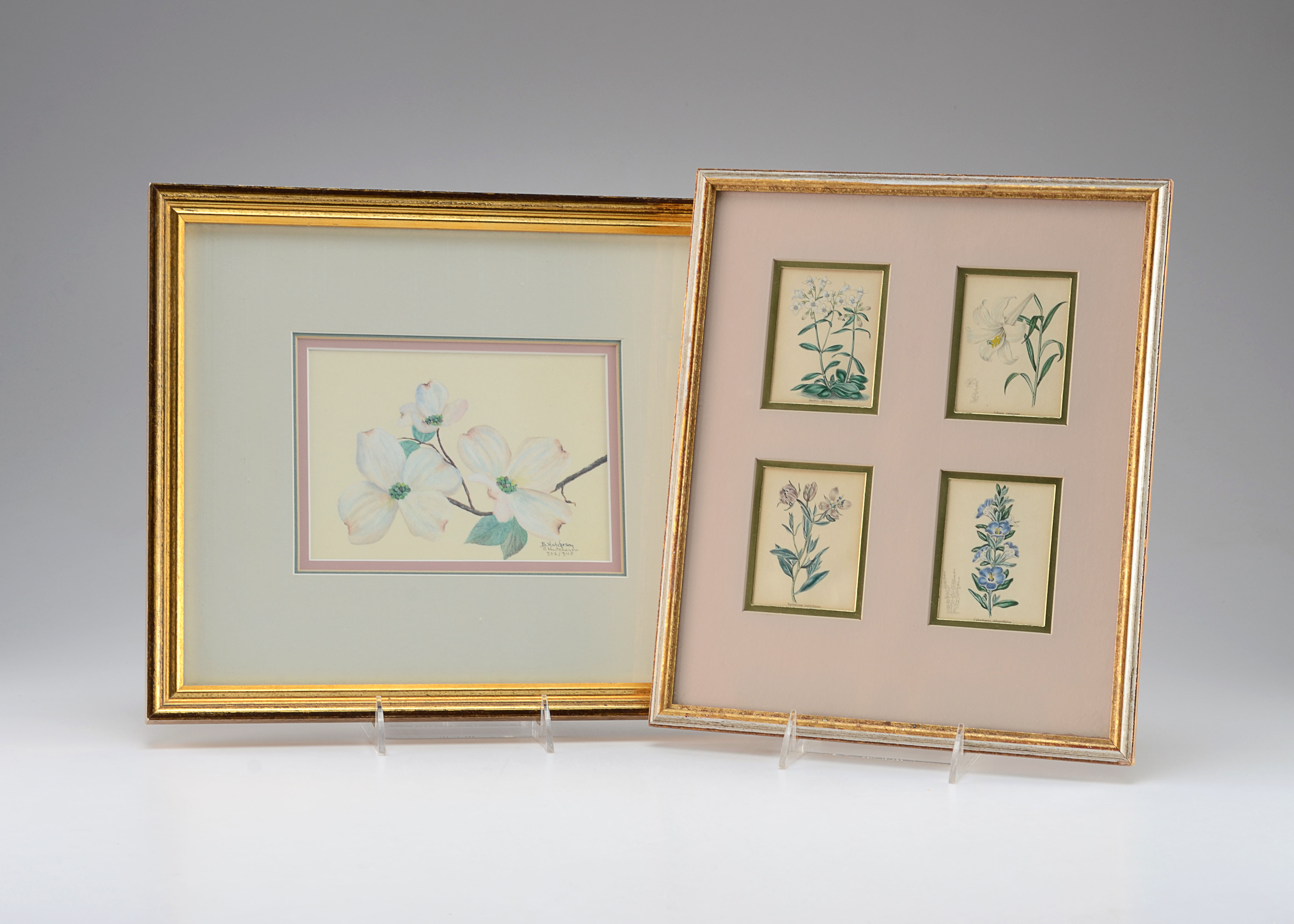 Pair of Original Floral Prints