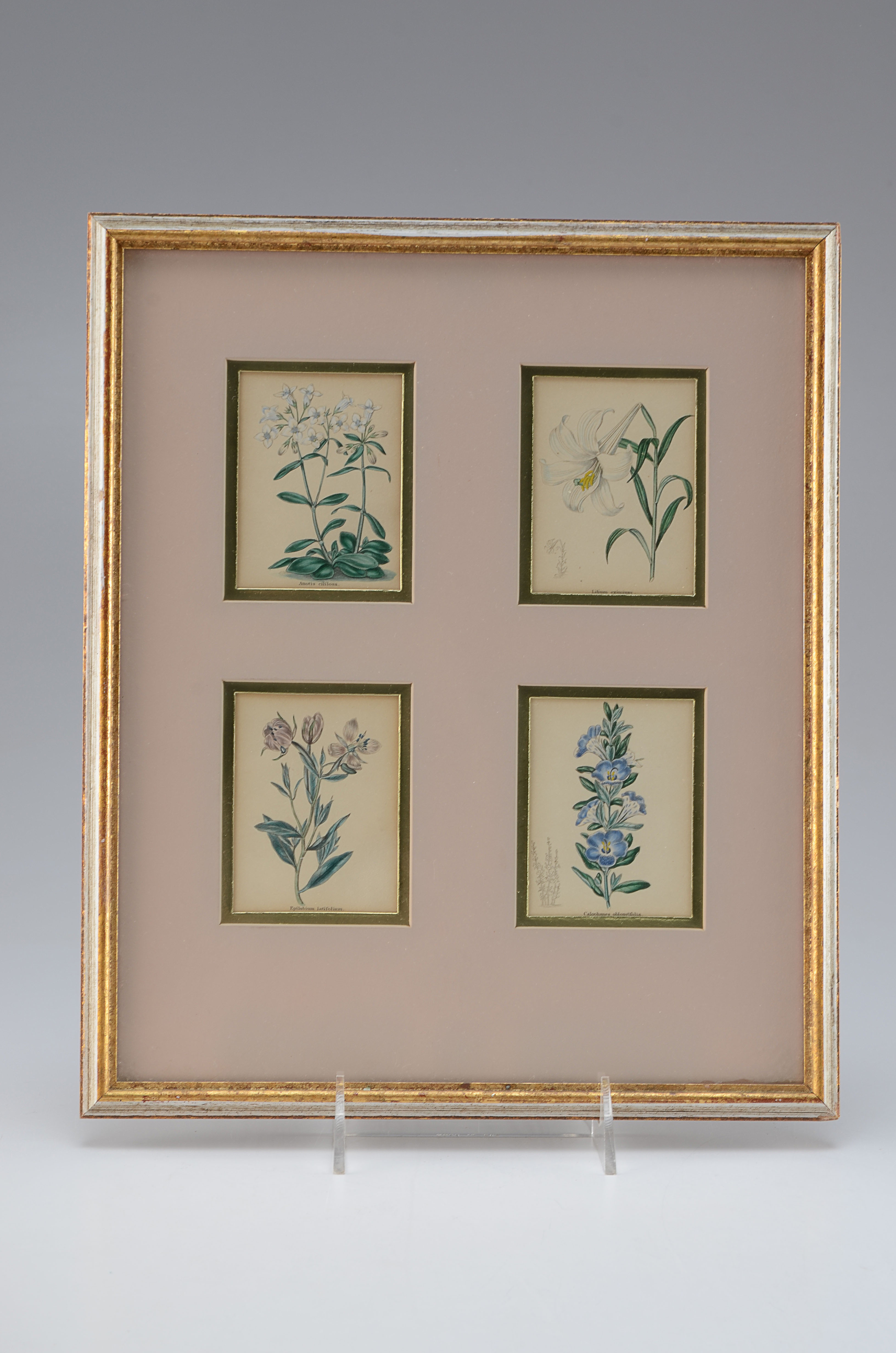 Pair of Original Floral Prints