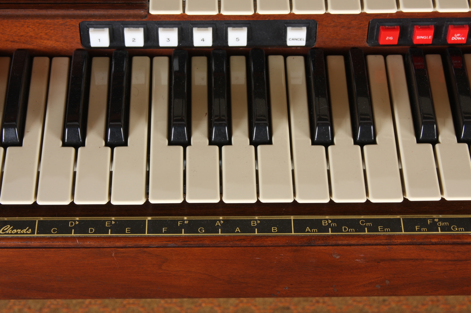 Hammond Aurora Classic Organ