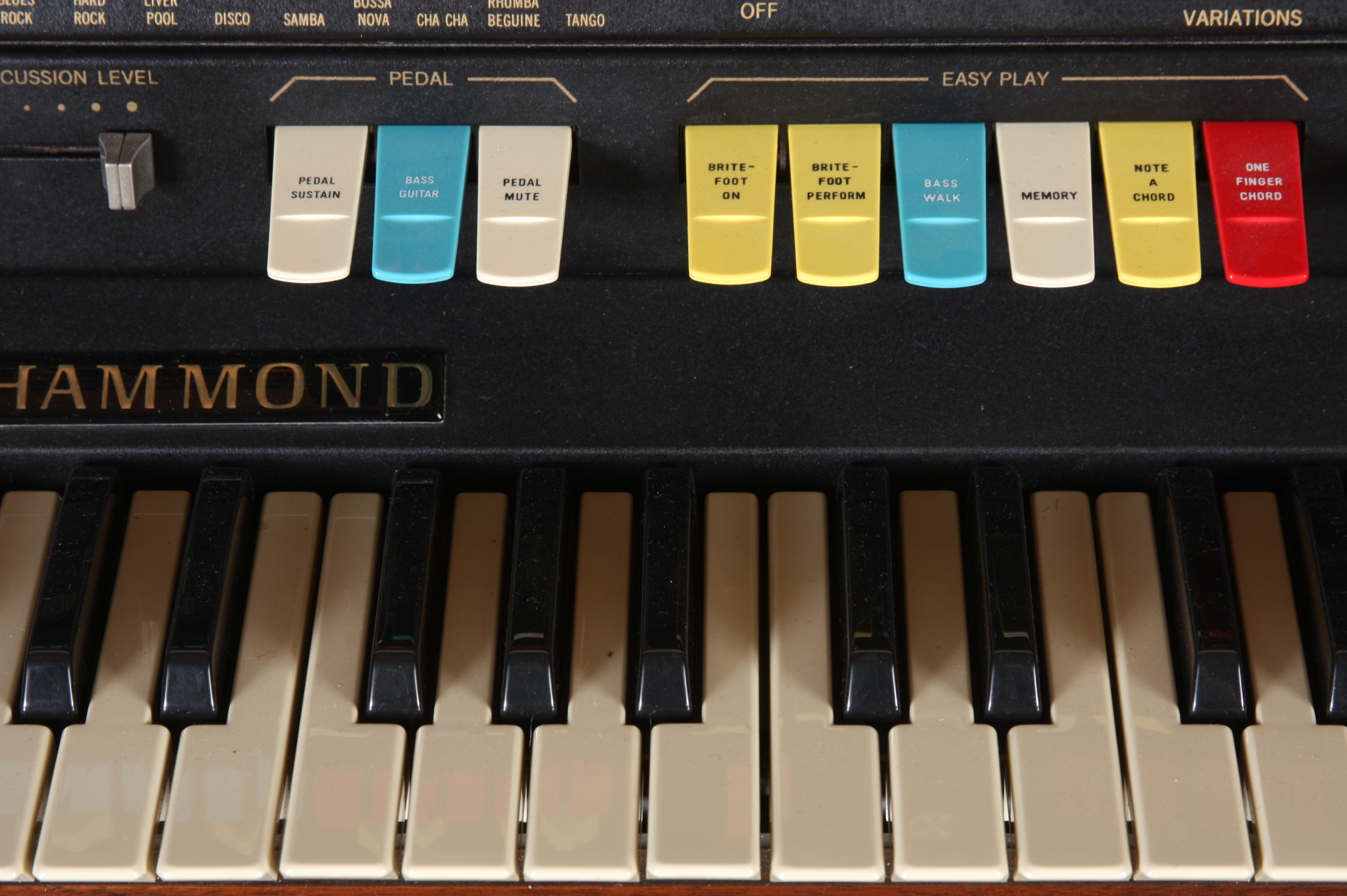 Hammond Aurora Classic Organ