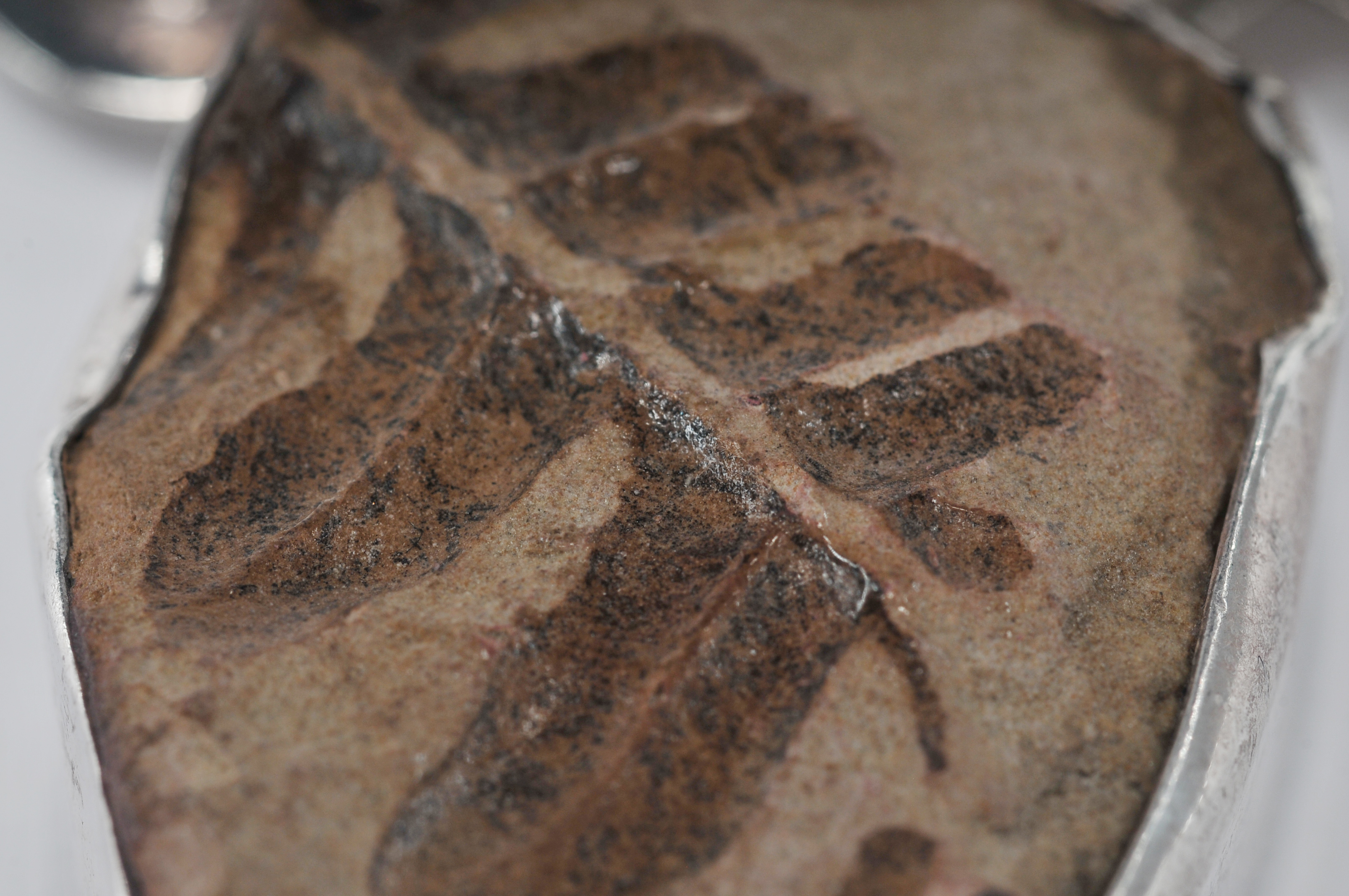 Artisan made sterling silver organic brooch/ pendant 