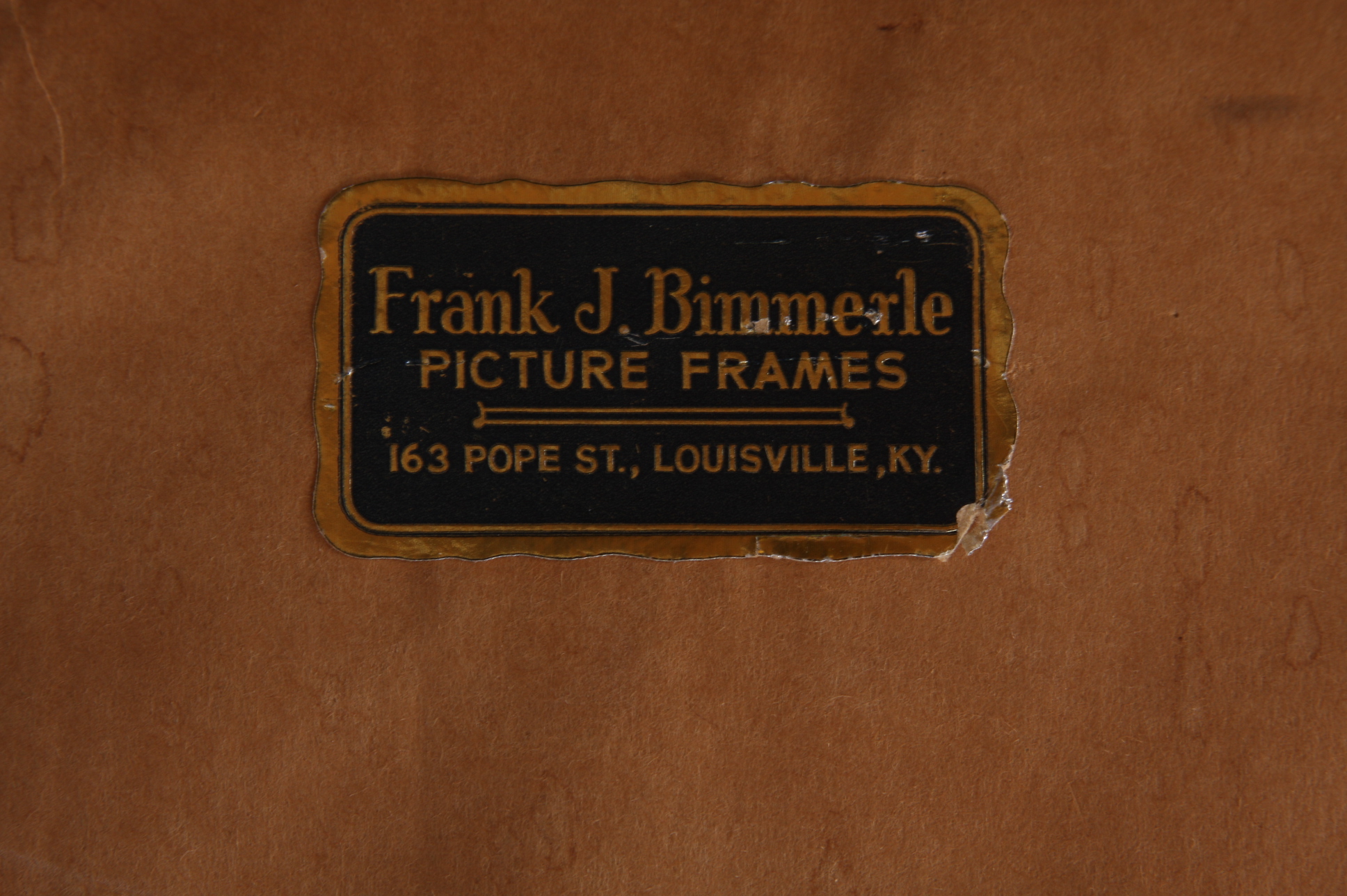 Original Mark Catesby Eighteenth Century Engraving