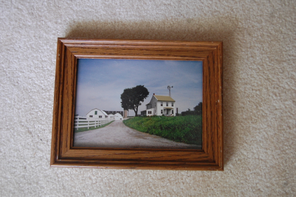 Country Print Quinter