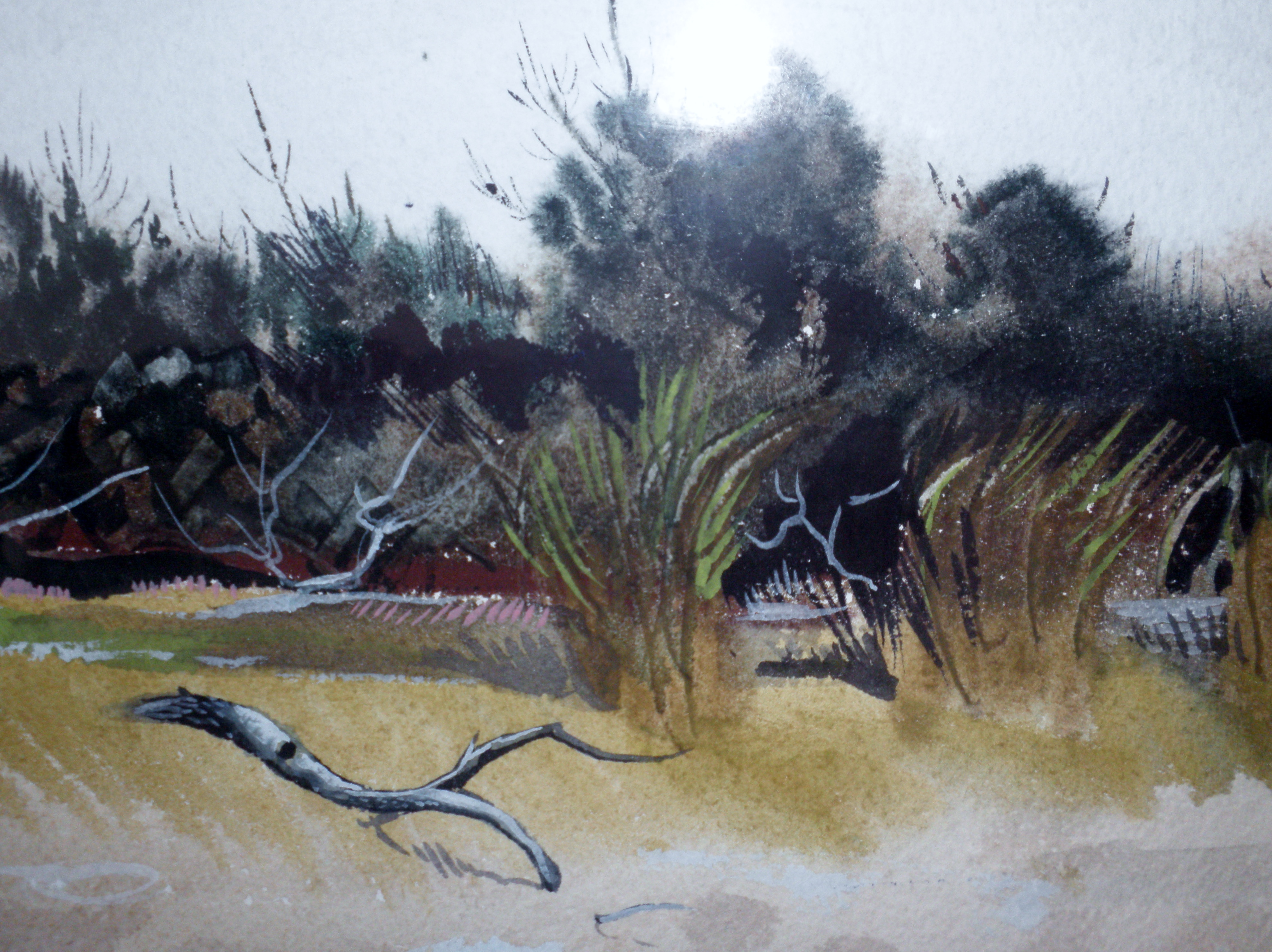 Reginald Grooms Watercolor