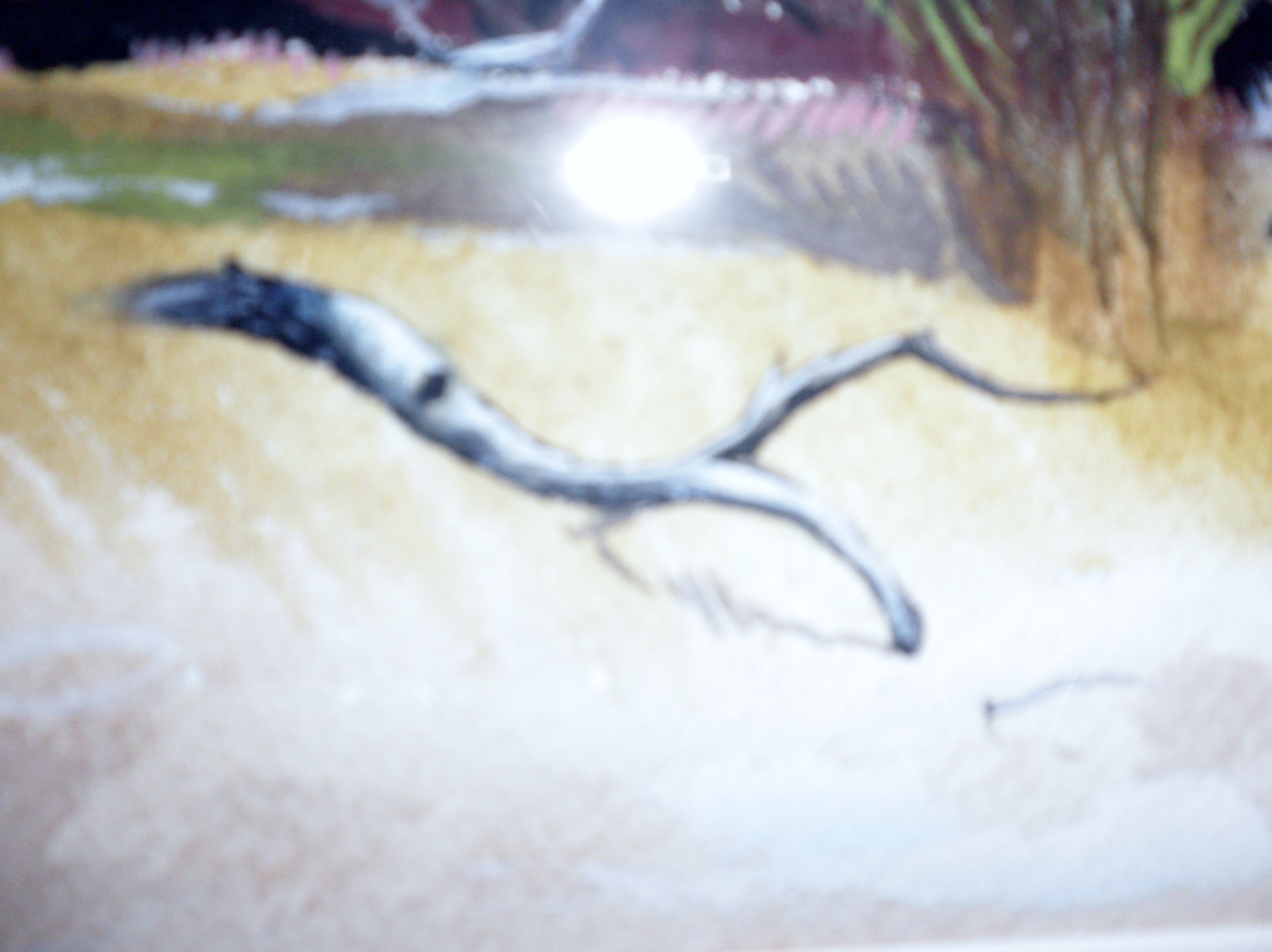 Reginald Grooms Watercolor