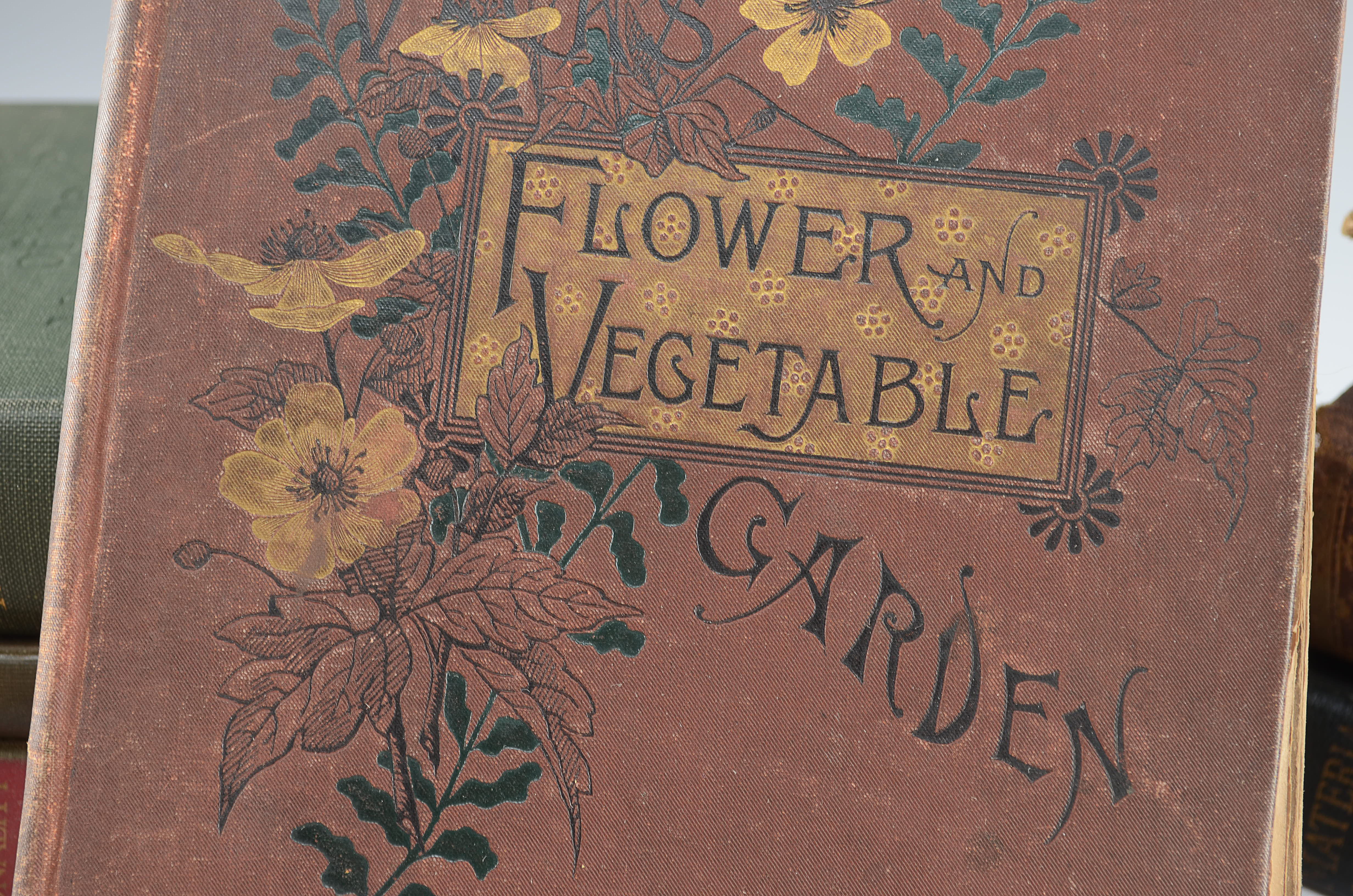 Antique and Vintage Book Collection