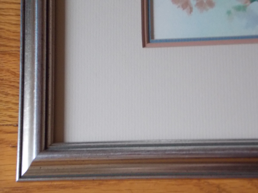 Baby Chickadees by Frank T Gee