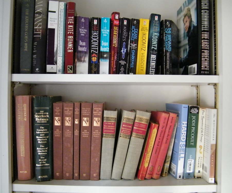Two Shelves of Current and Vintage Books