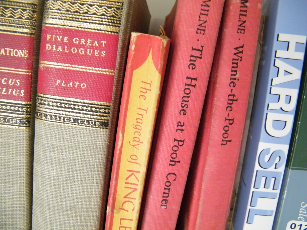 Two Shelves of Current and Vintage Books