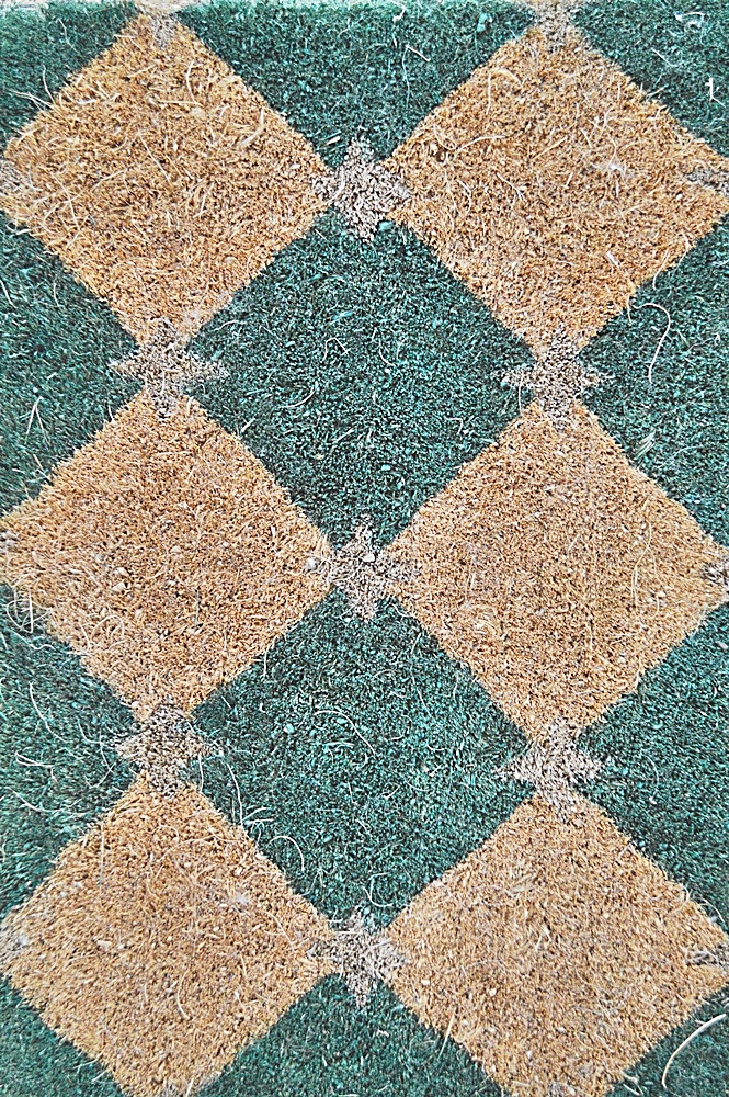 Set of 3 French Court Coir Mats from Ballard Designs