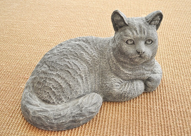 This Cat Saw Medusa!