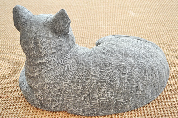 This Cat Saw Medusa!