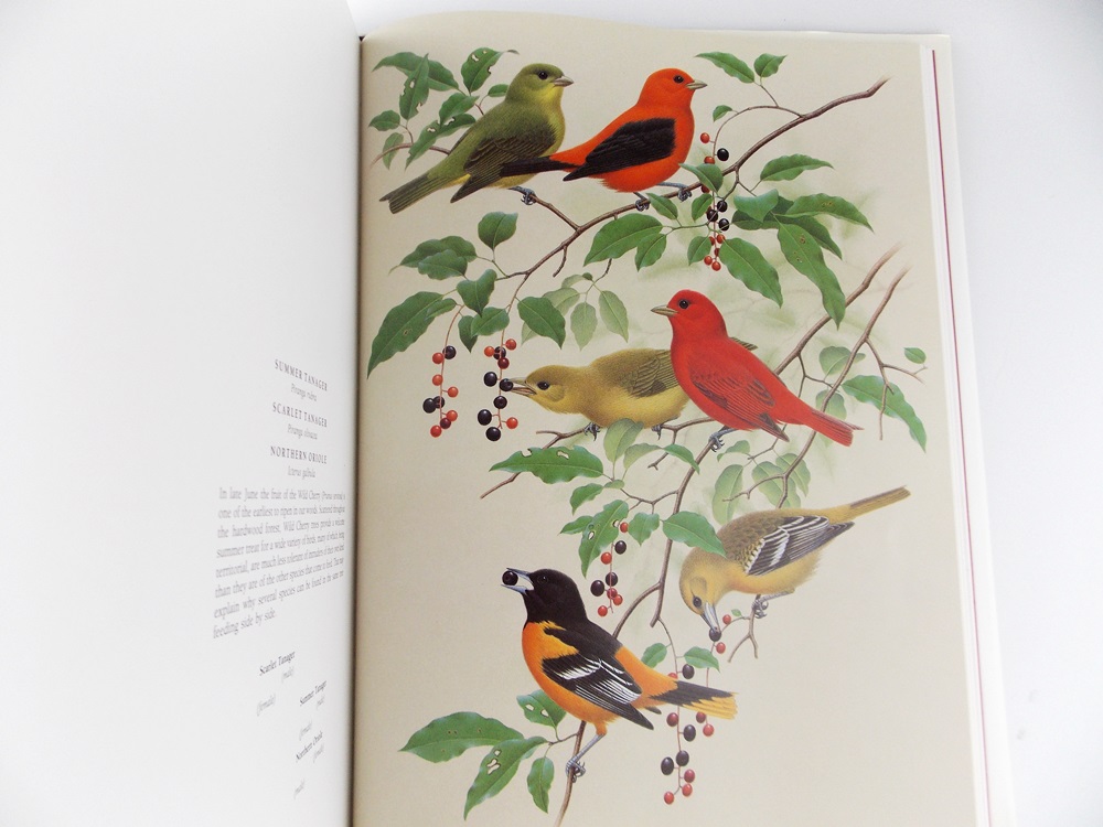 Bird Books