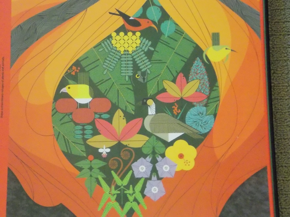 C. Harper Poster of Hawaii Volcanoes (Small)