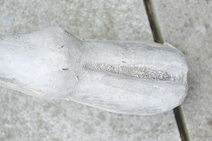 Pool Guardian Giraffe