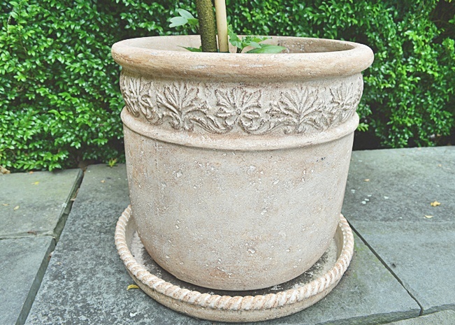 Lightweight Planter with Hibiscus Plant