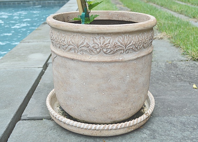 Lightweight Planter with Hibiscus Plant