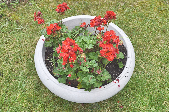 Lightweight Garden Urn