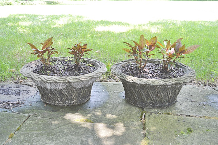 Pair of Outdoor Cast Stone Planters 