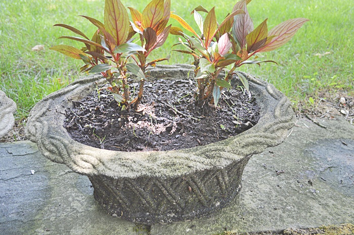 Pair of Outdoor Cast Stone Planters 